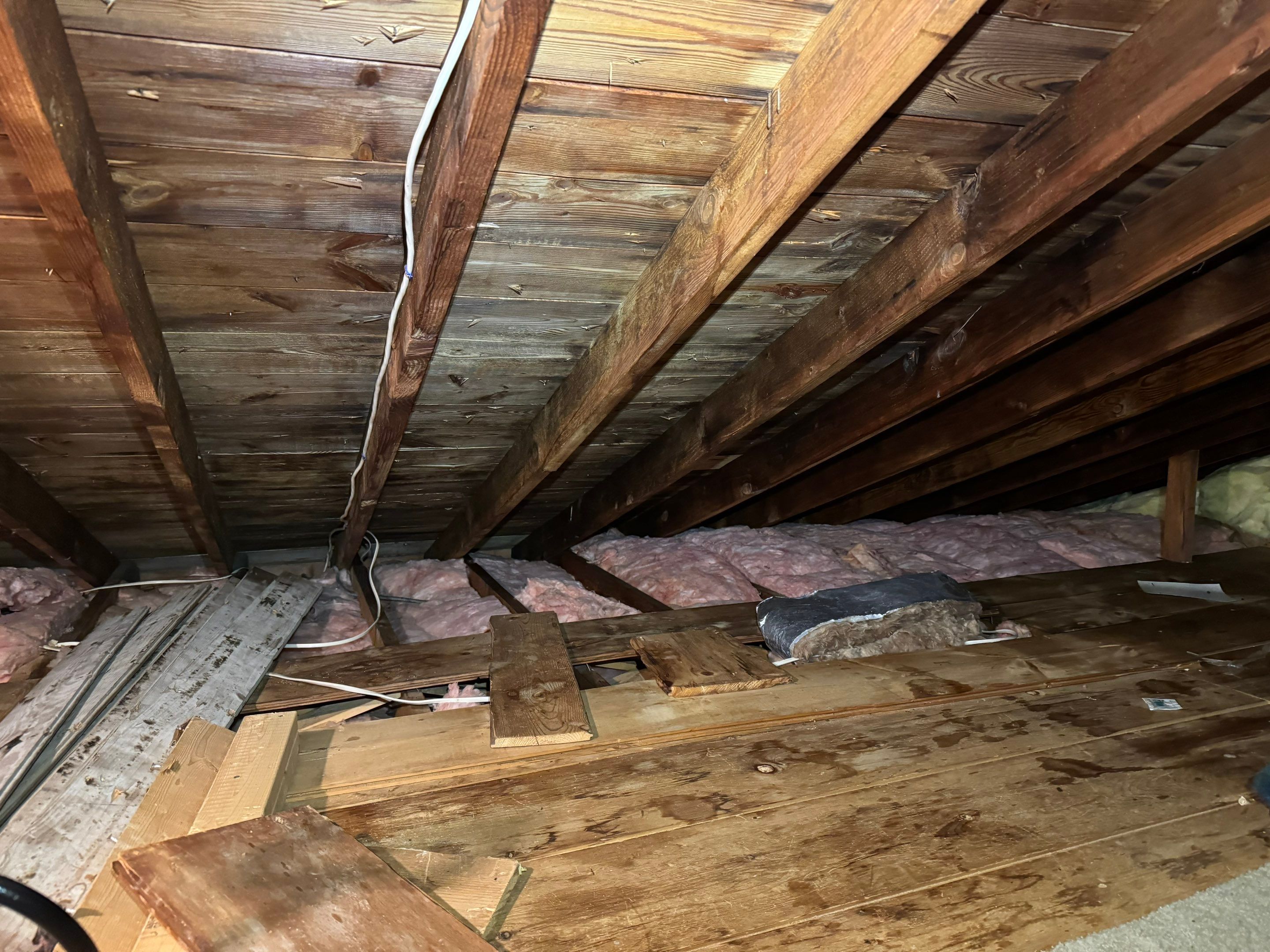 Attic & Sunroom Mold Remediation by Home Guarantee, LLC