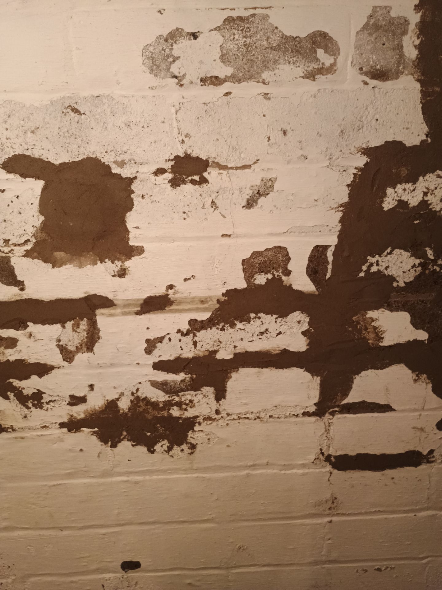 Updating Taylor's Waterproofing System by Waterproofing Northeast