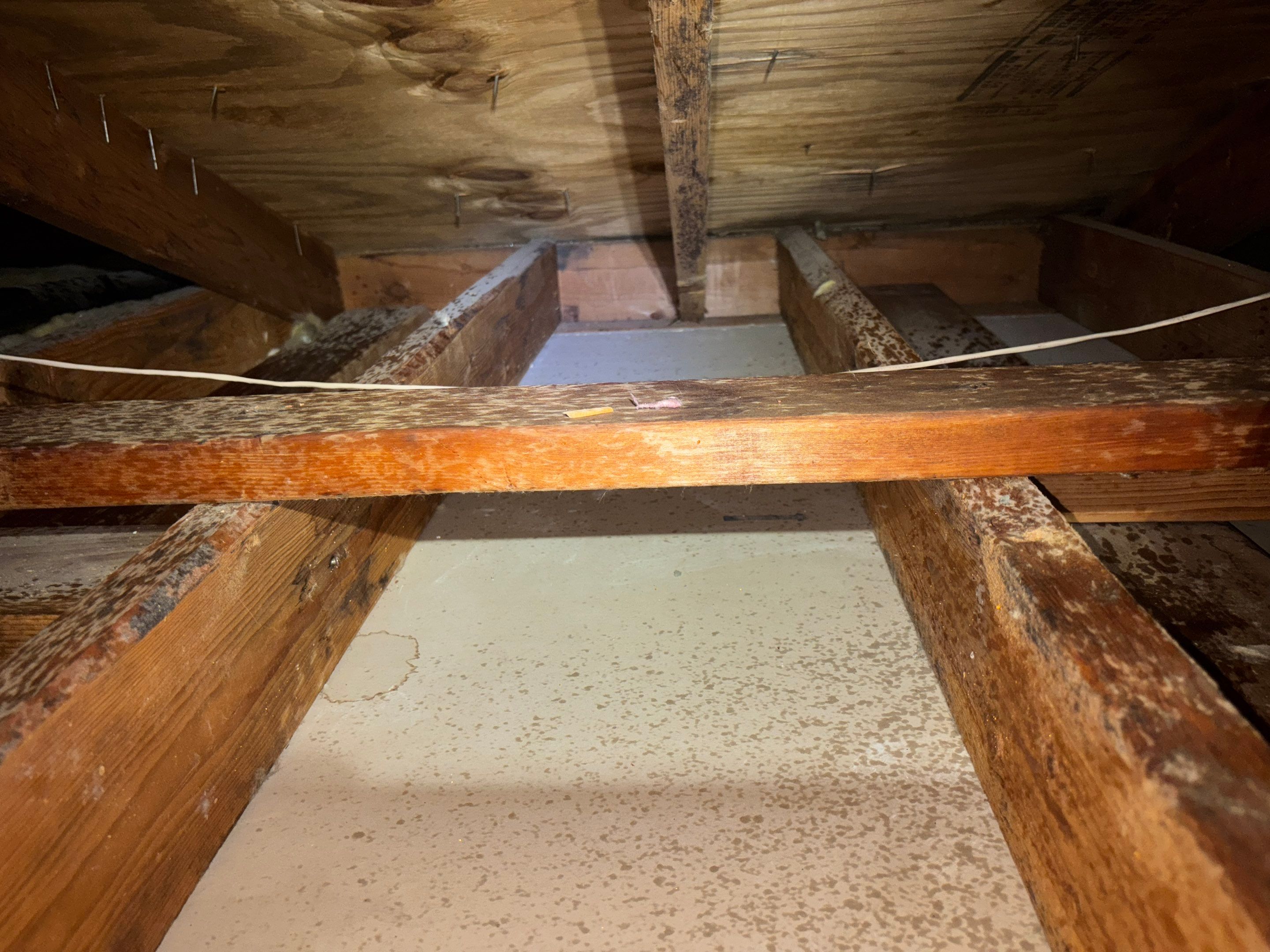 Project in Paramount by Insulation Labs