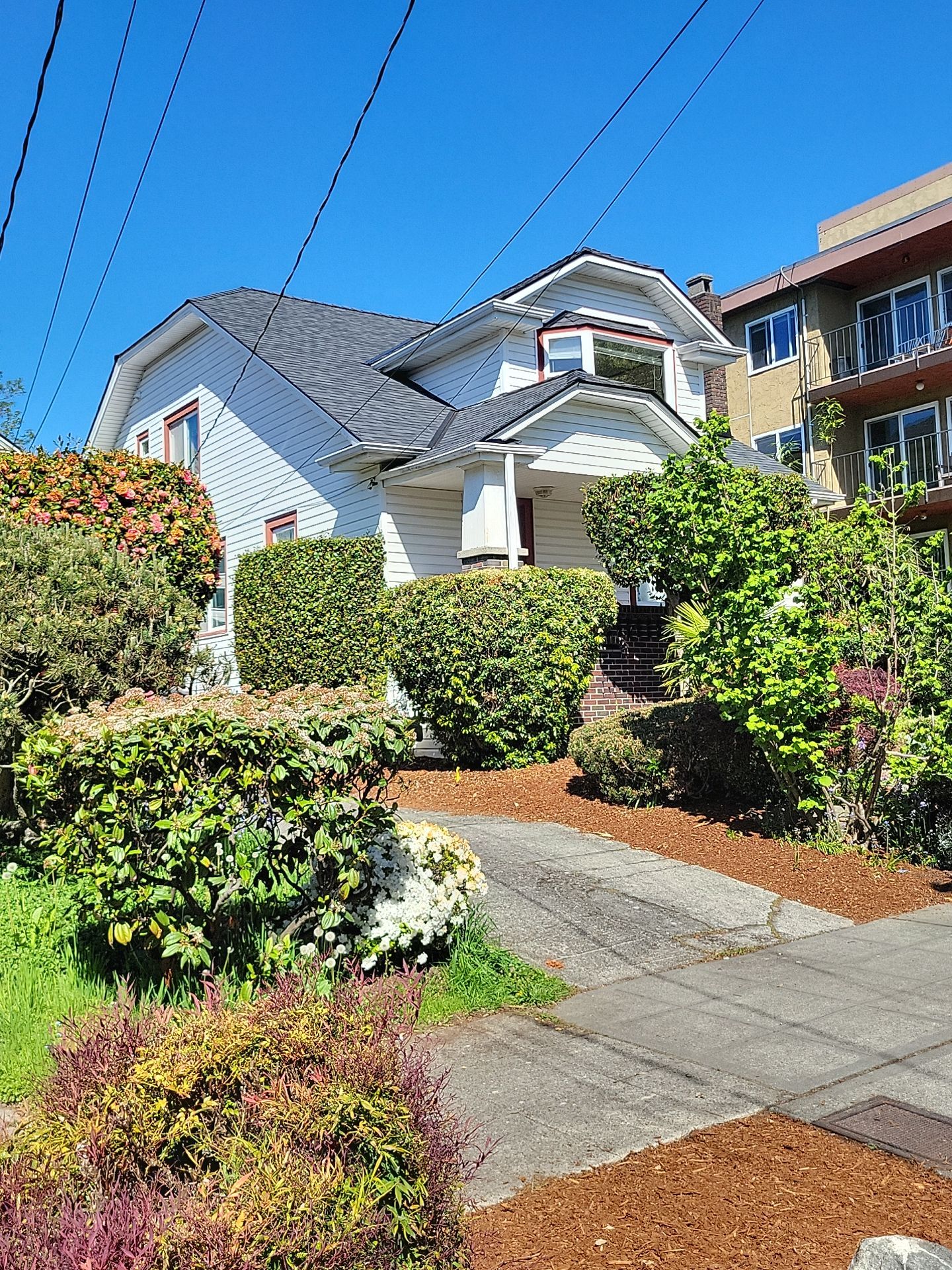Roof Project in Seattle by Fred Meyer Roofing