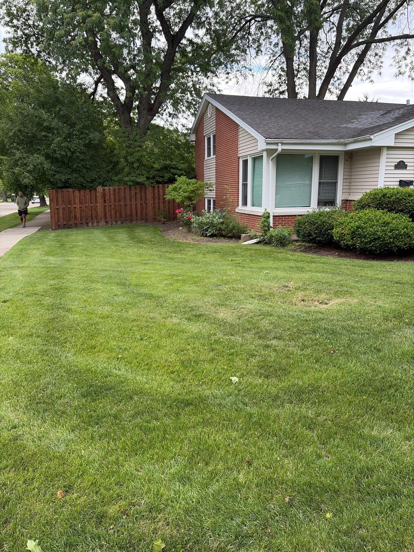 Lauren T. - Arlington Heights, IL by A&N