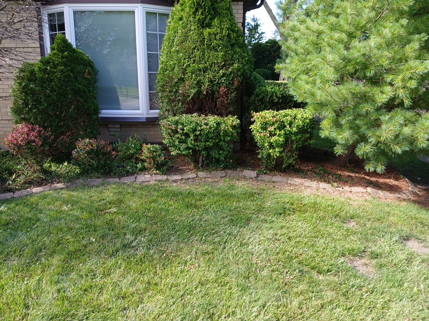 Andrew L. - Arlington Heights, IL by A&N