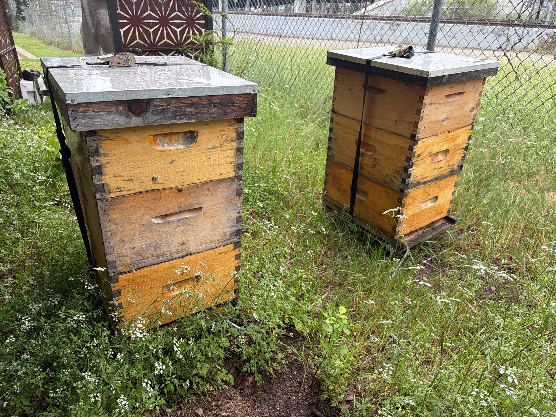 Apartments on the Trails by Rockwall Honey Bee Company