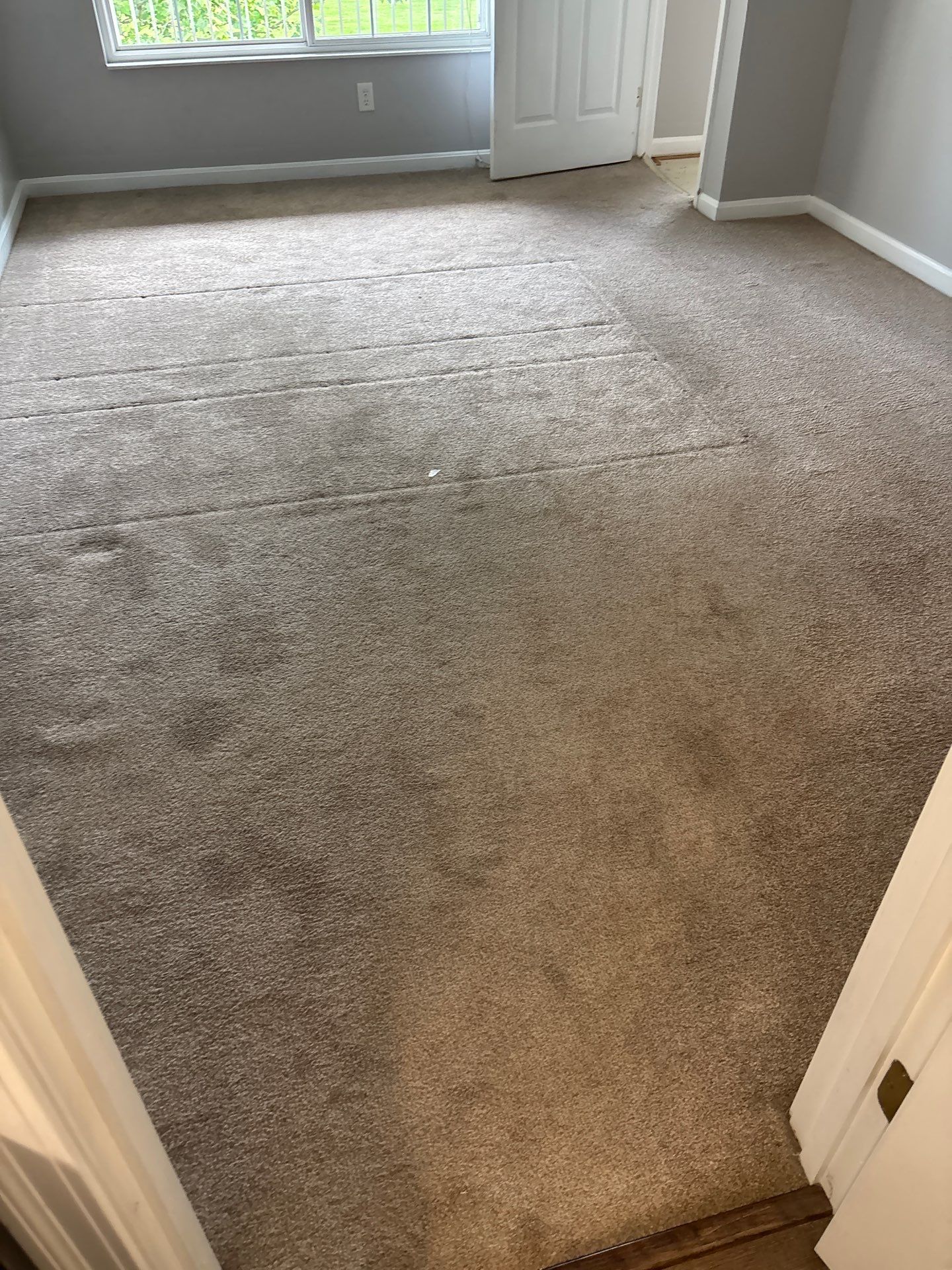 LVP Project in Burlington by Footprints Floors Kentucky