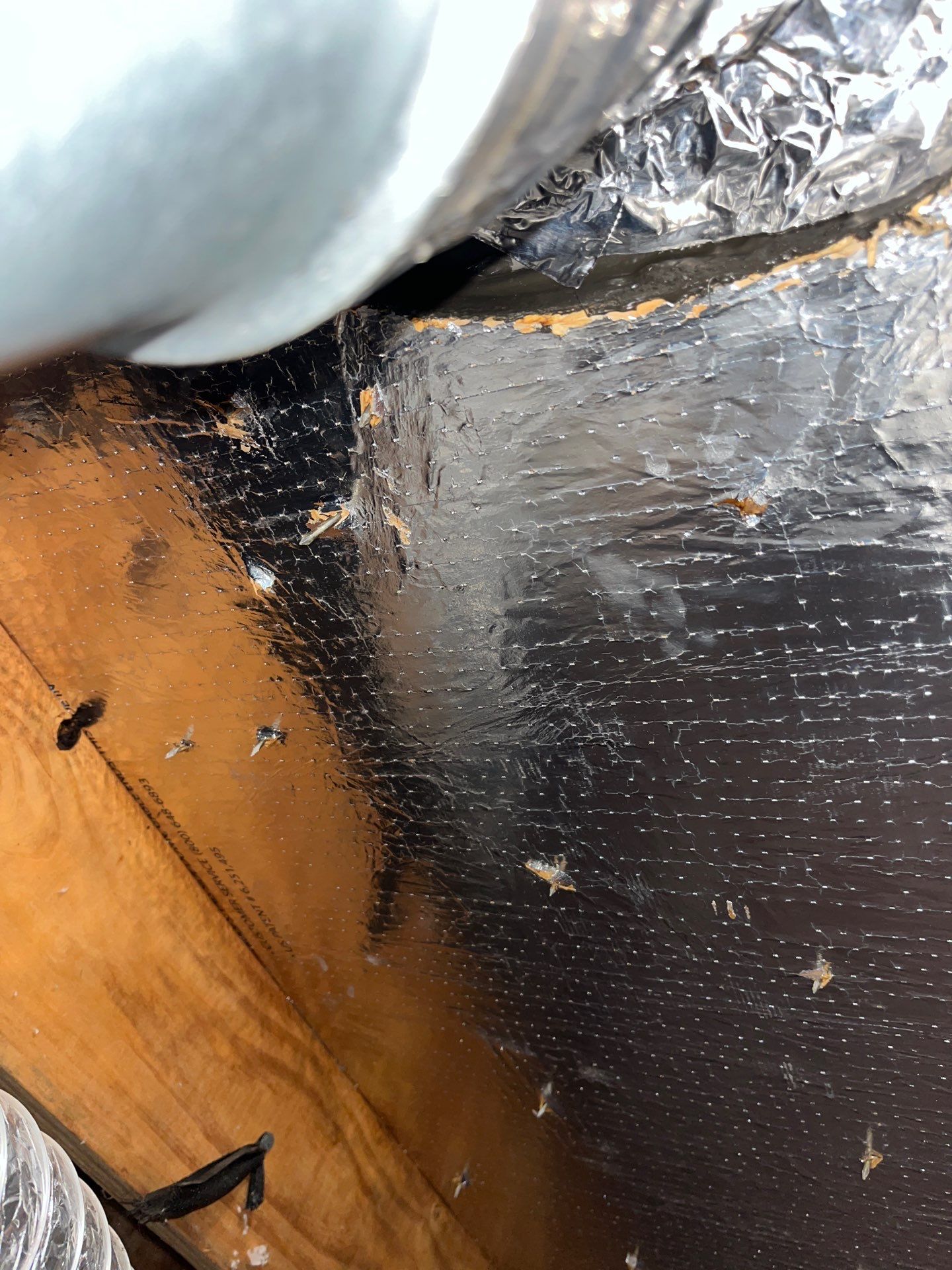 Hail Damage using Owen's Corning Duration (Lifetime) Shingles by Roof Repair Company