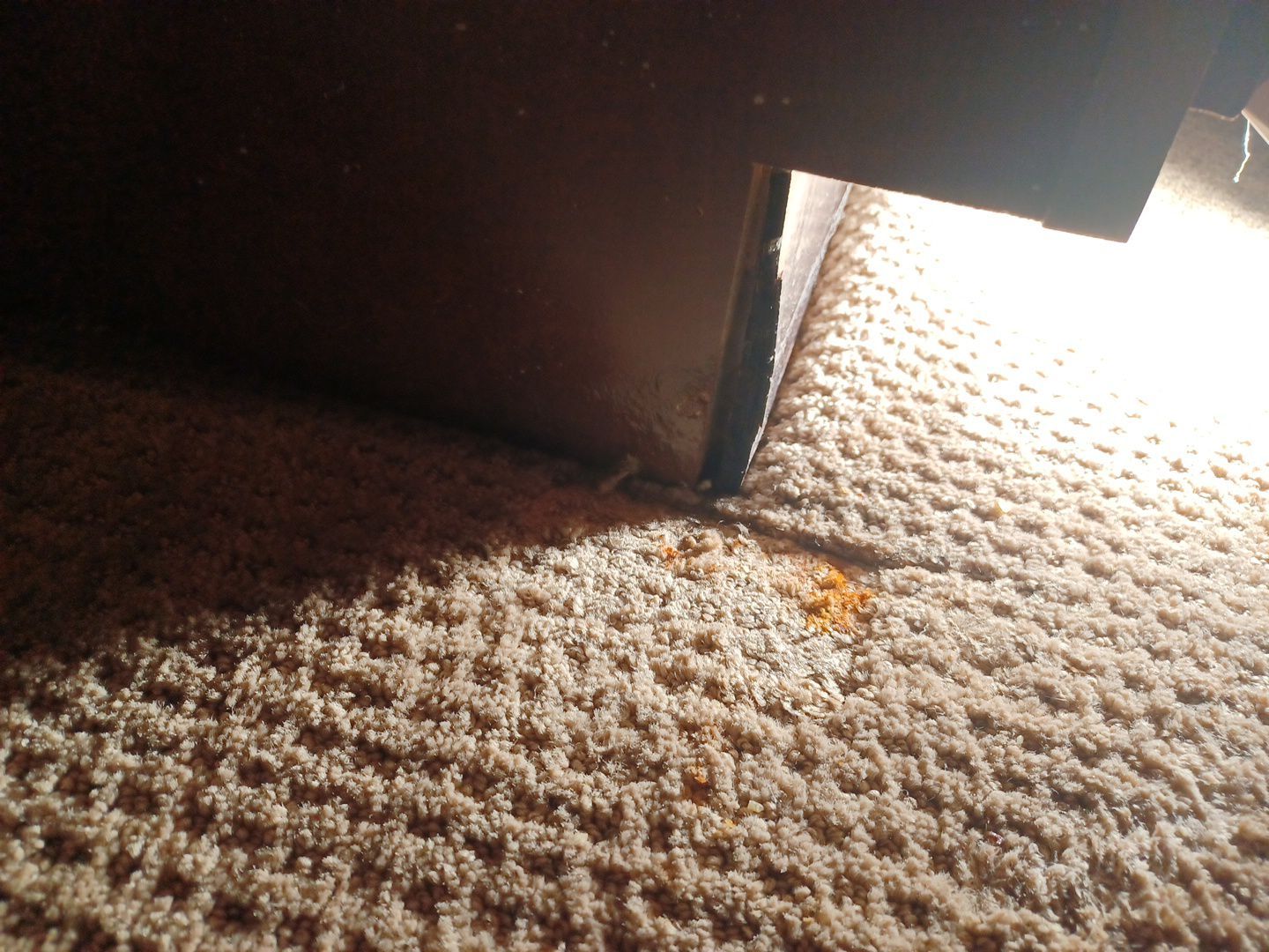 Project in Commerce Township by EzDry Water Mitigation & Property Restoration