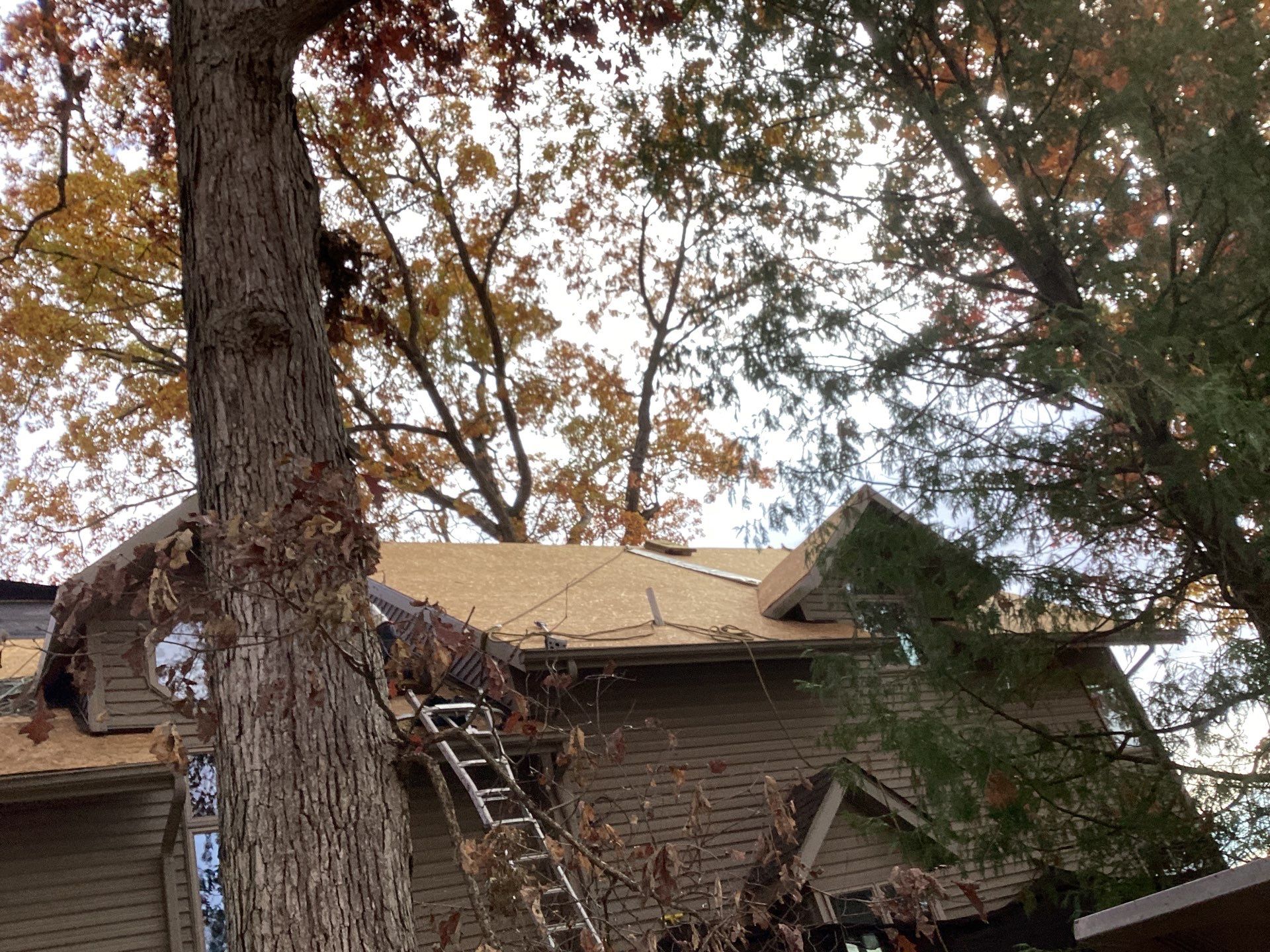 Project in Battle Creek by Better Way Roofing LLC