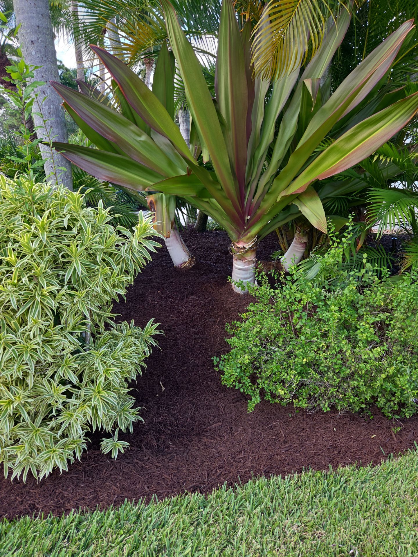 Stuart Showcase: Turning Concrete Chaos into Paver Perfection by Alpha Zeta Enterprises Inc