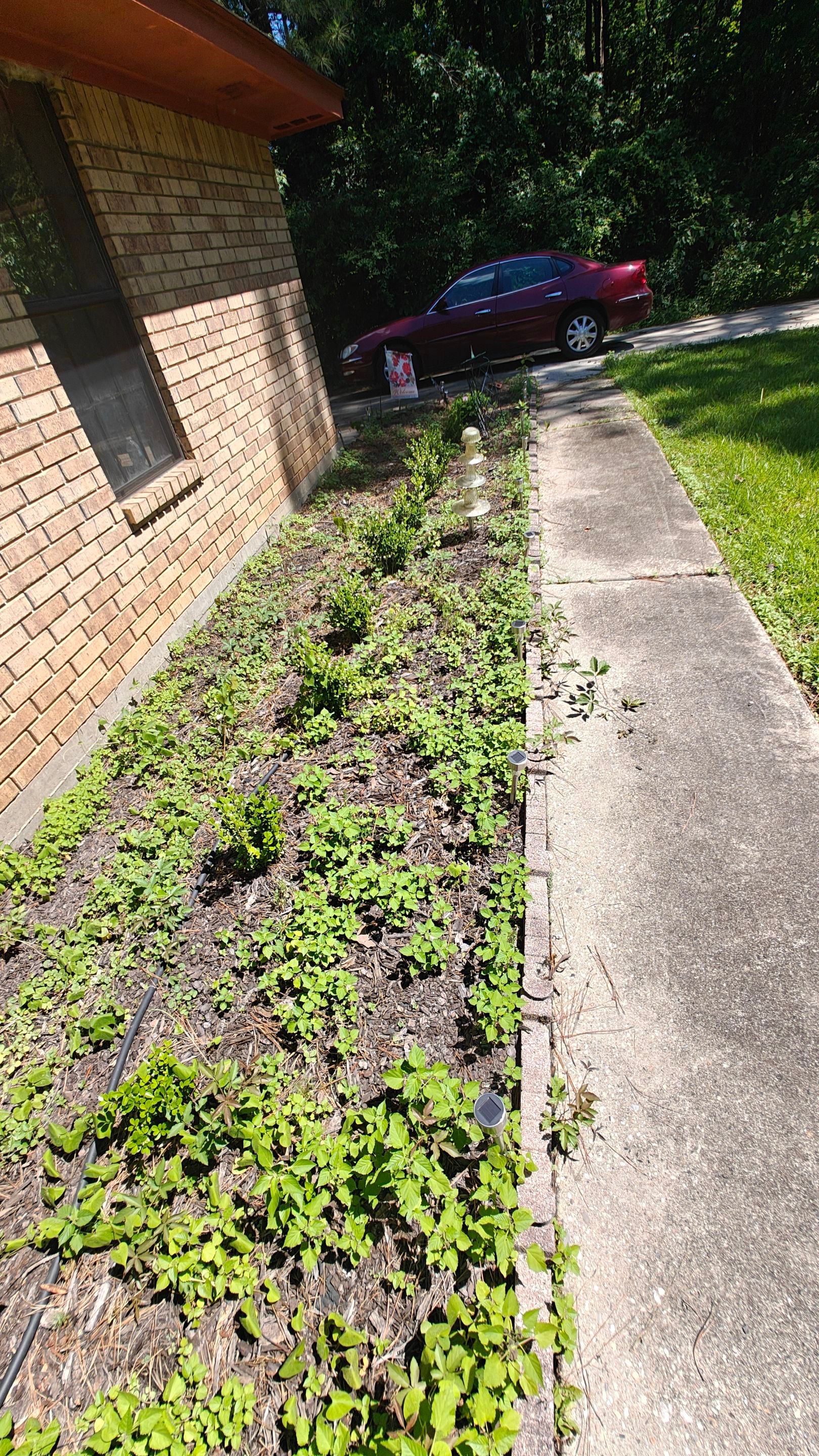 Bi Weekly Landscaping/ Weeding  by College Bros Outdoor services