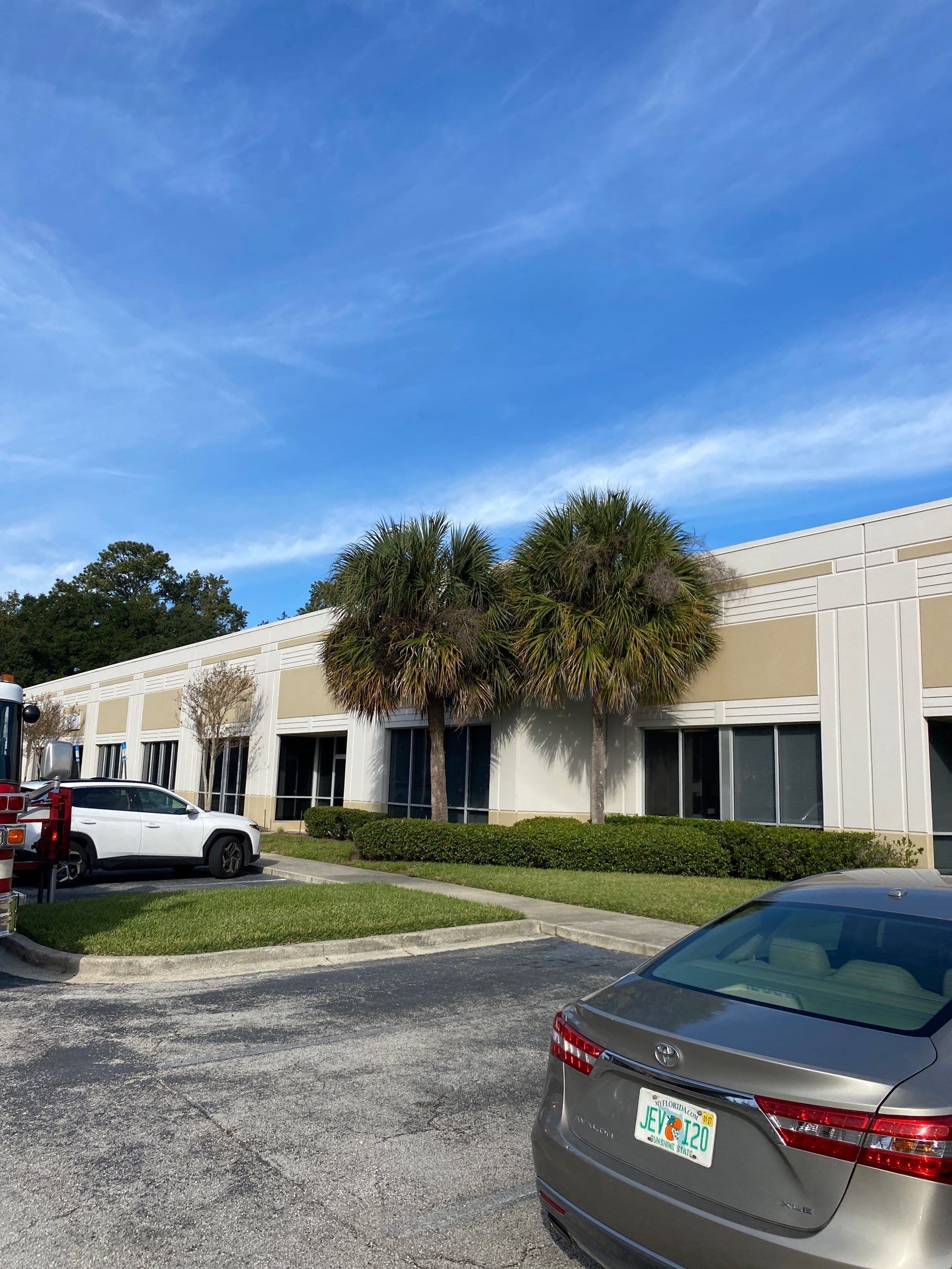 Tree & Palm Trimming | Commercial Property by ProGreen Services