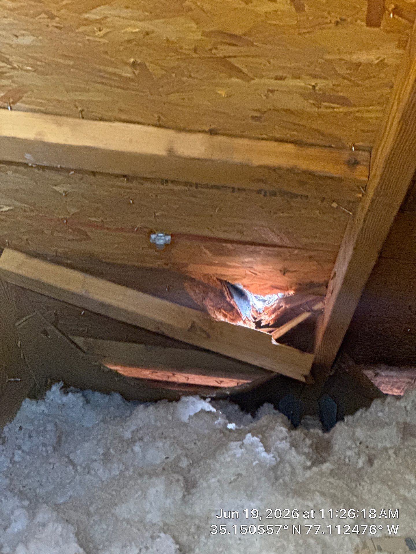 New Bern Roof Replacement Following Storm and Tree Damage by North Carolina Roofs