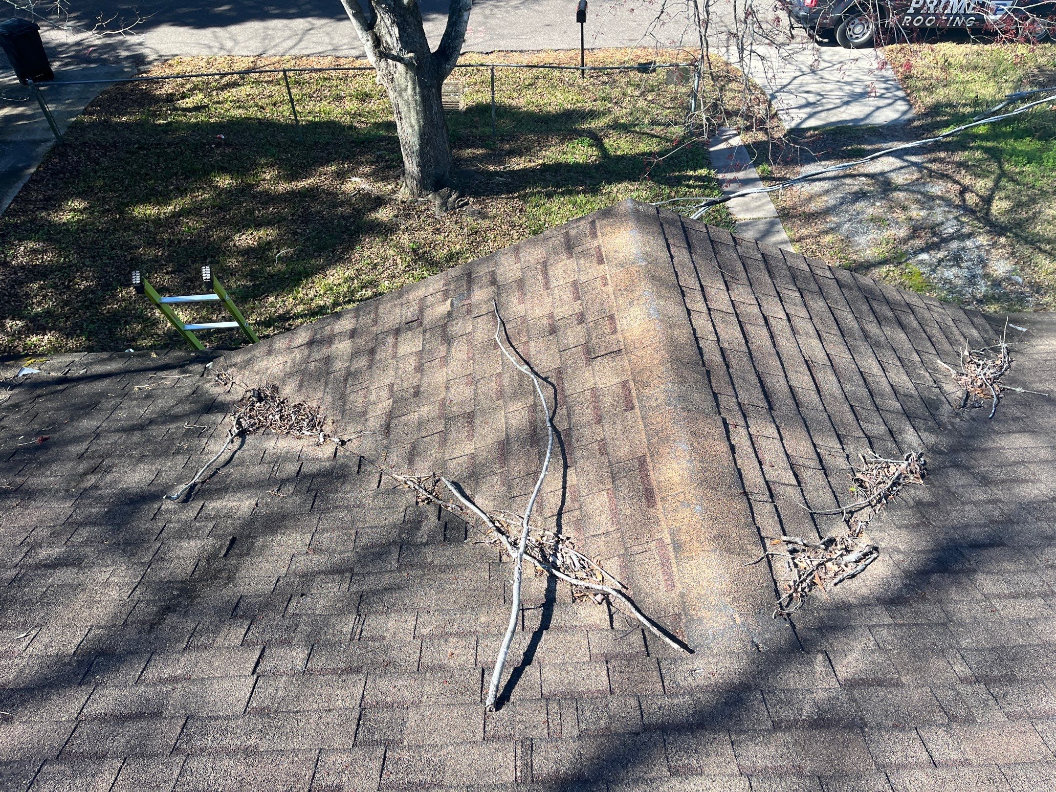 Shingle -> Shingle by Prime Roofing