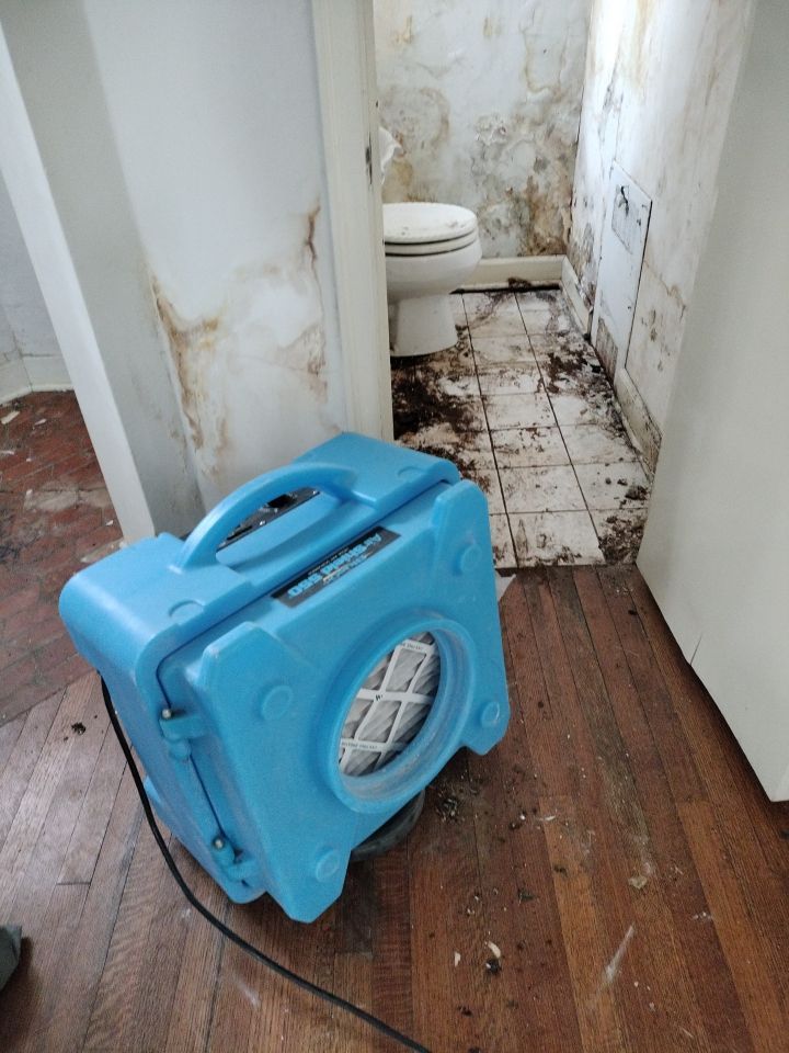 Mold Remediation by Accountable Home Services
