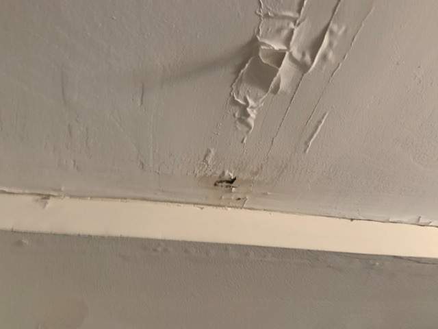 Ceiling & Shower Repair by A1 NERDY HOMES LLC