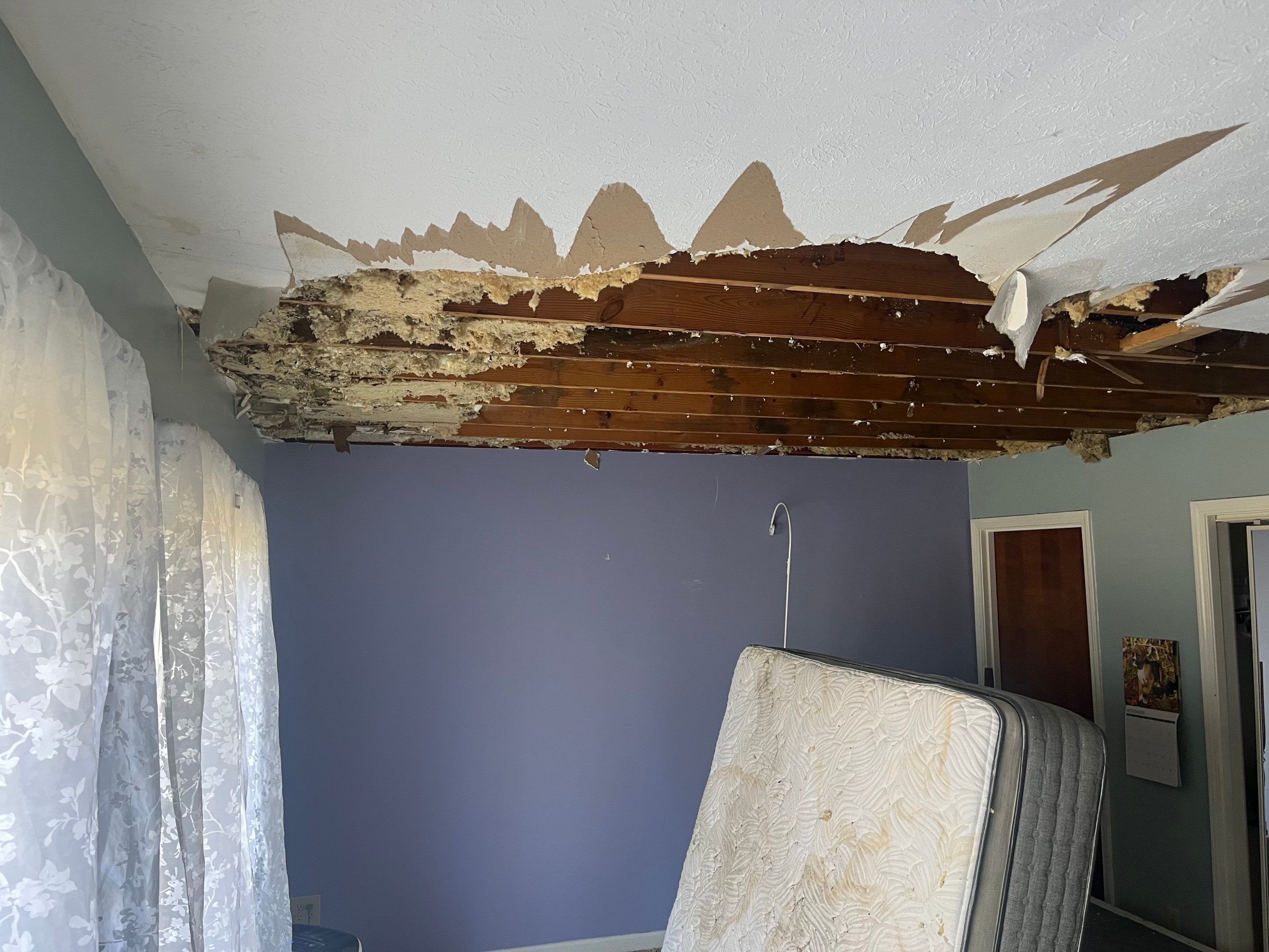 Attic Mold Remediation in Goshen, KY by ANR Restoration