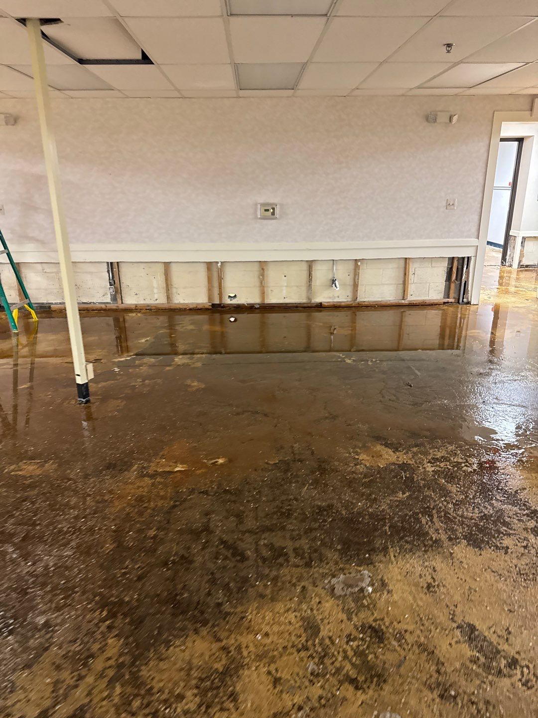 Project in Warren by EzDry Water Mitigation & Property Restoration