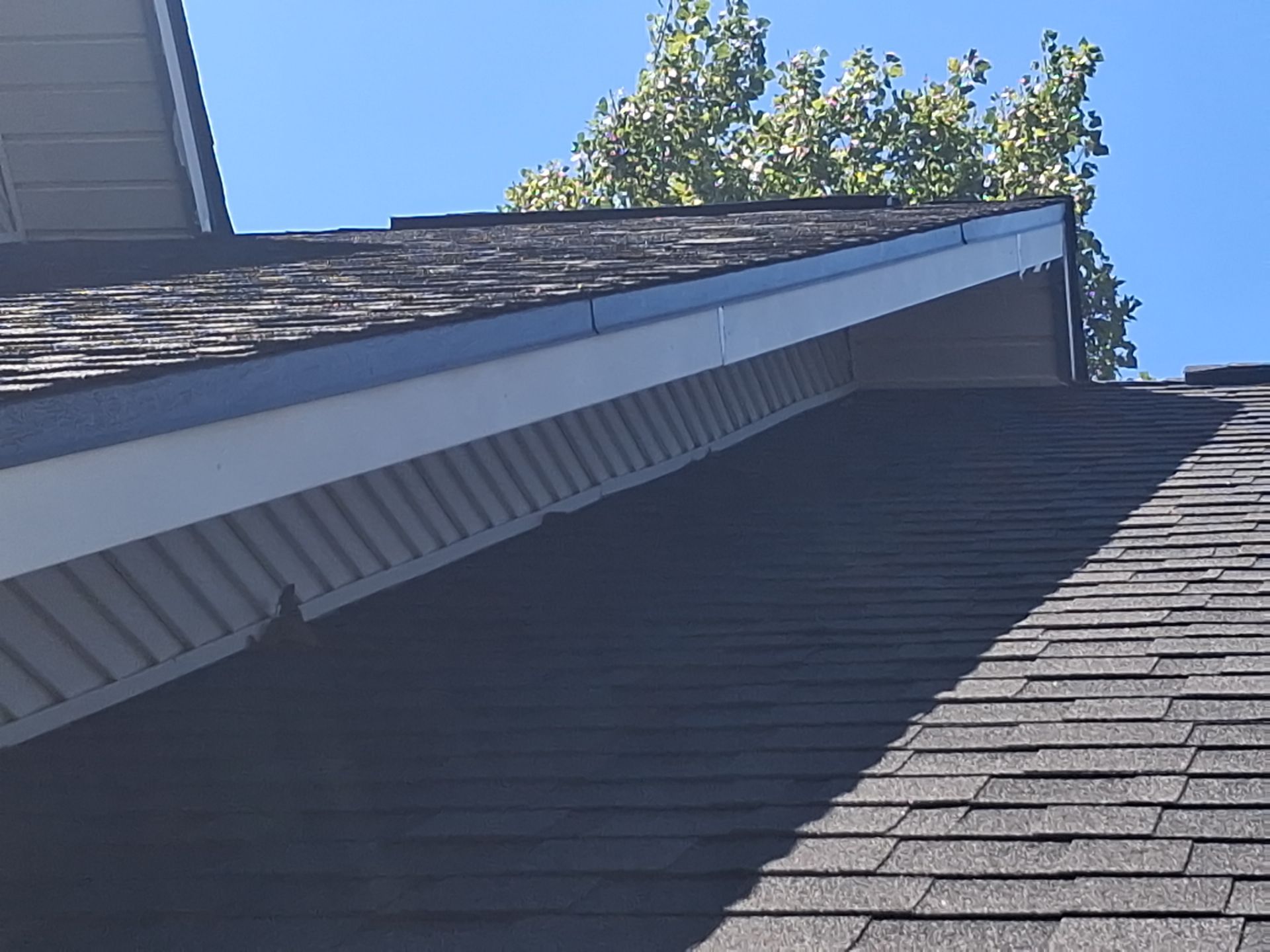 From Aged Yellow to Fresh Green in Frankston, Texas by Quality Coats Painting