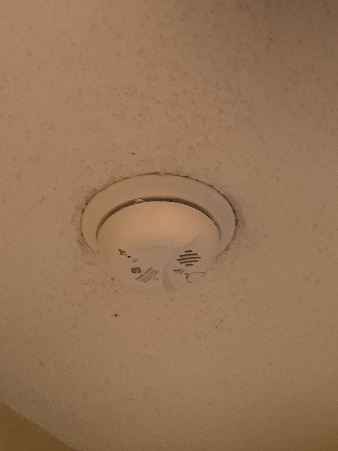 Property Maintenance using Smoke / Co Alarms by A1 NERDY HOMES LLC