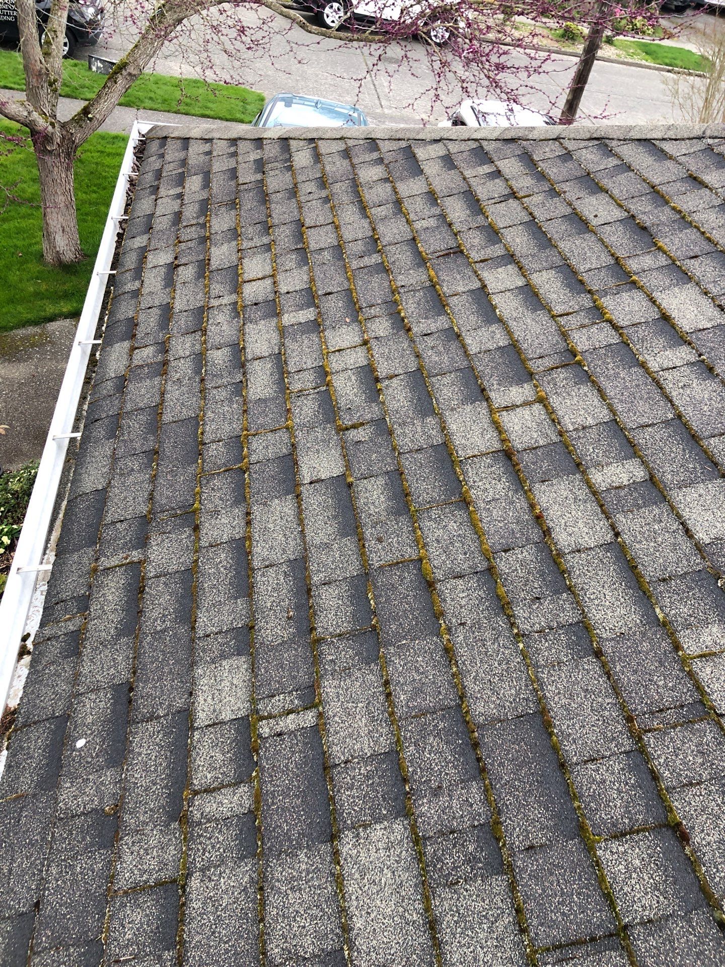 Project in Seattle by Connolly Construction Company