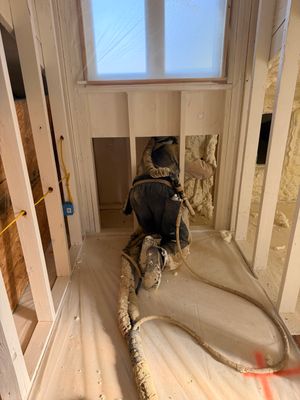 Mold remediation project