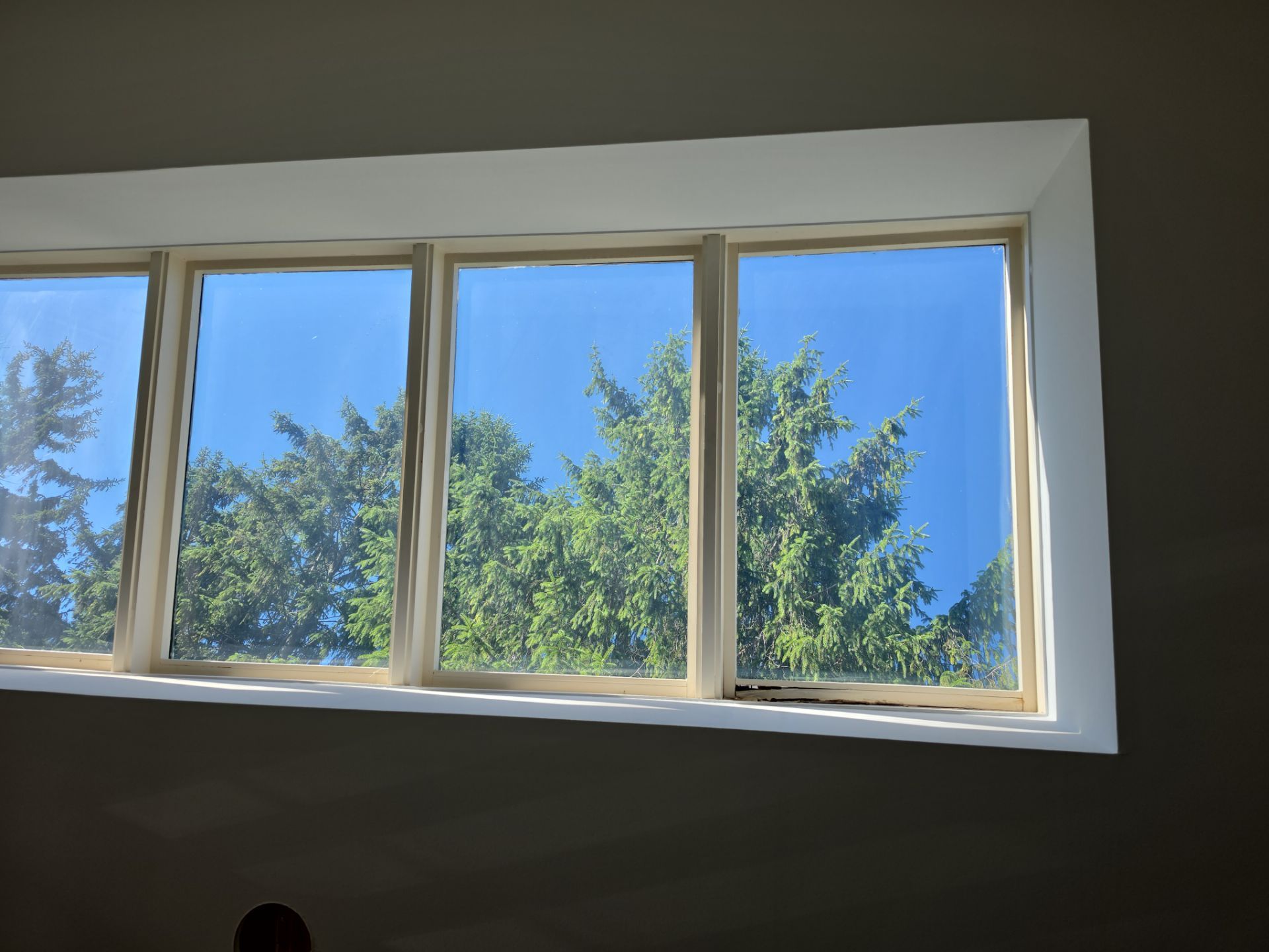 Roof Repair and Custom Skylight Sealing in Bloomfield Hills by EverNew Roofing