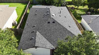 Brilliant Black - Malarkey Highlander