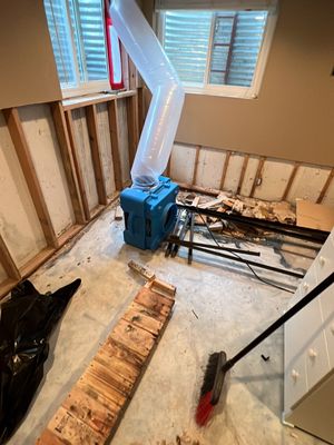 Mold Damage
