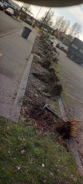 Panda Express | Striping  by Jireh Asphalt & Concrete Inc 