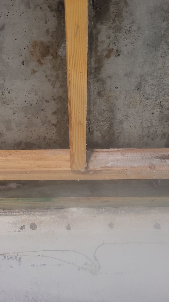 Mold Remediation  by Accountable Home Services