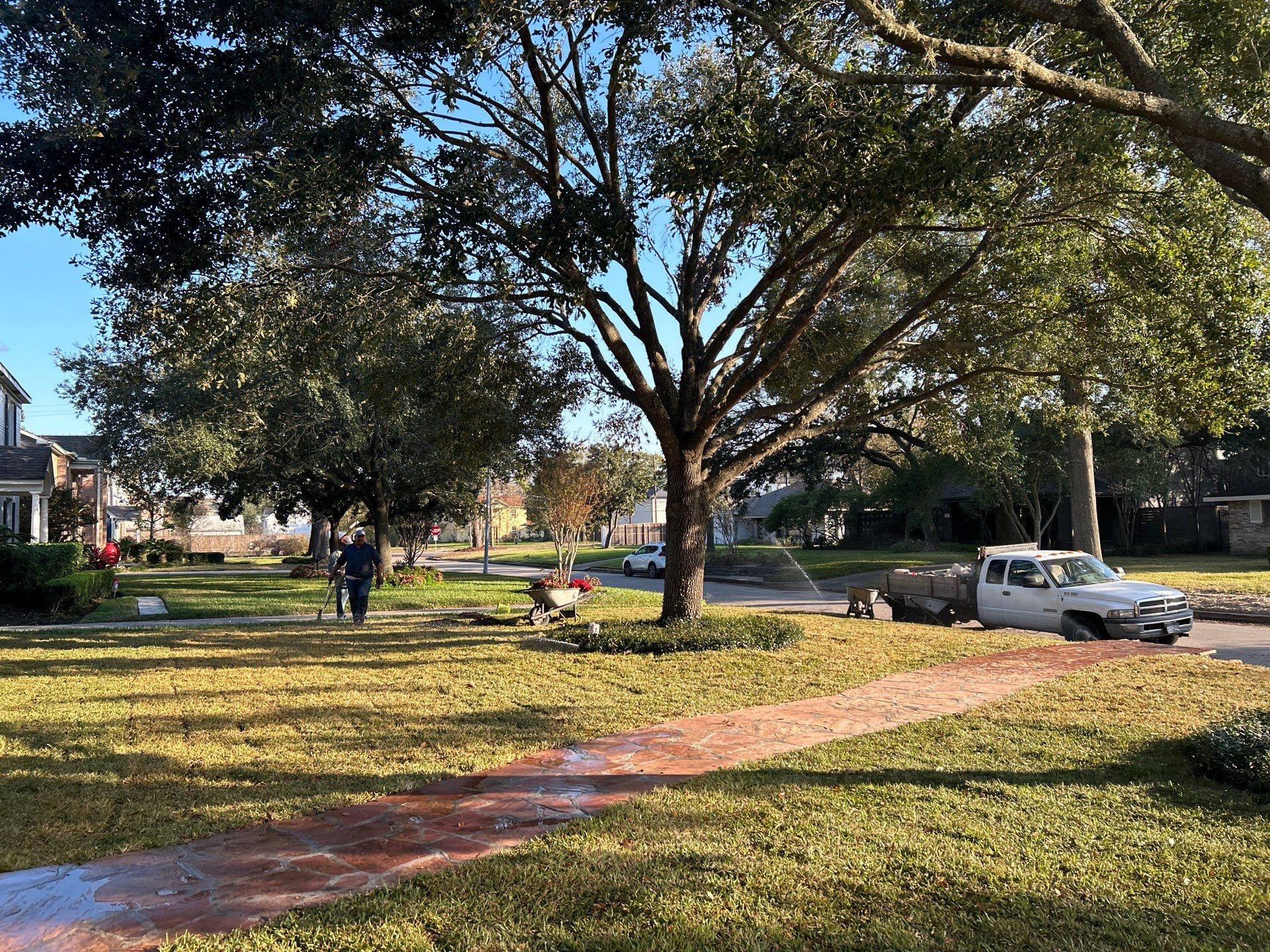 🌟 Mr. & Mrs. Tesla’s Complete Outdoor Makeover by Texas Urban Elements
