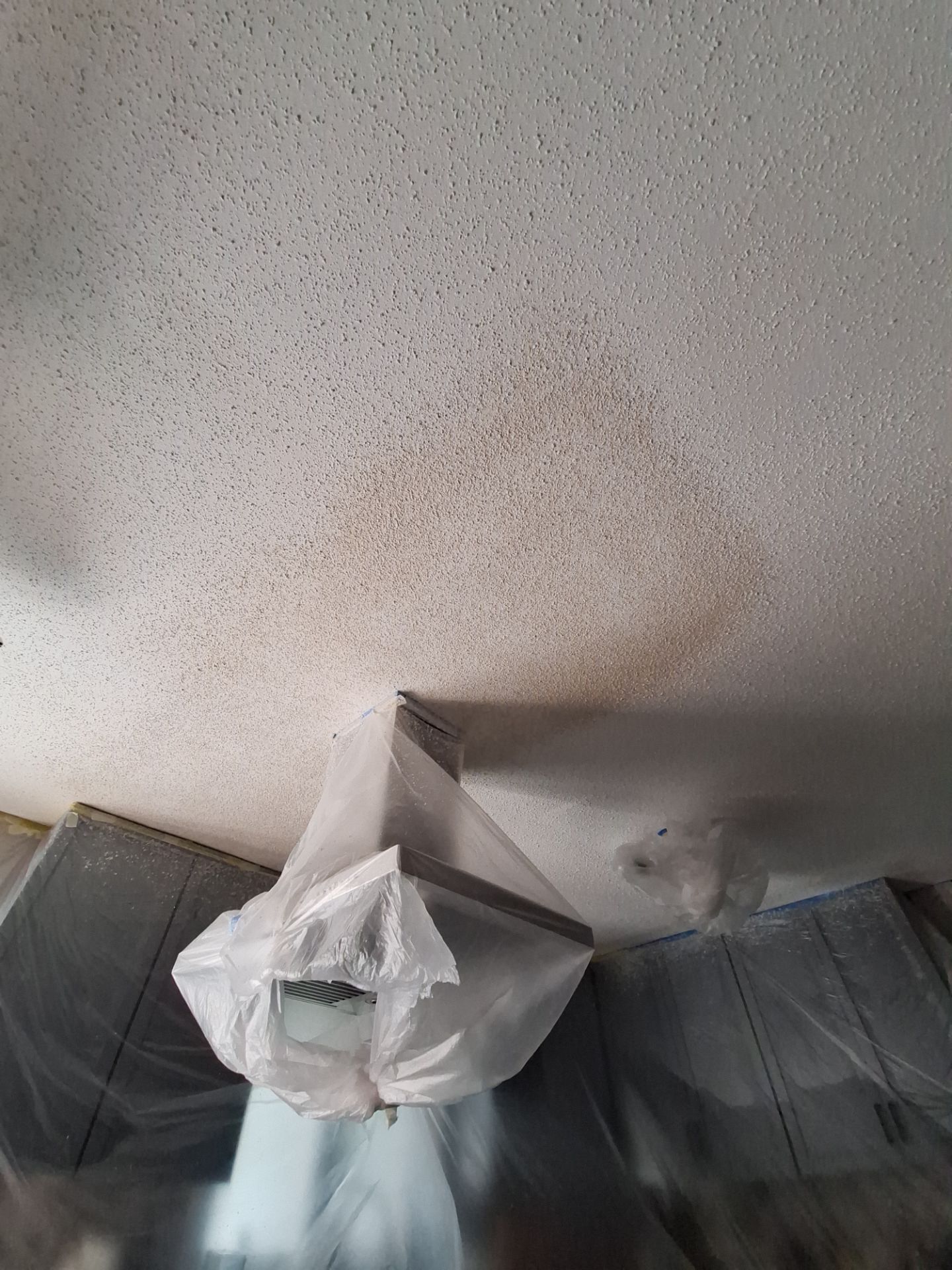 Interior Transformation with a Fresh New Look by Gordon Painting
