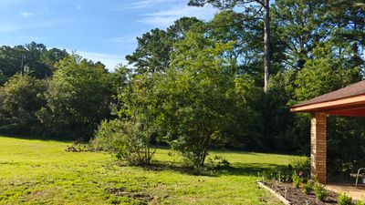Bi Weekly Landscaping/ Weeding 