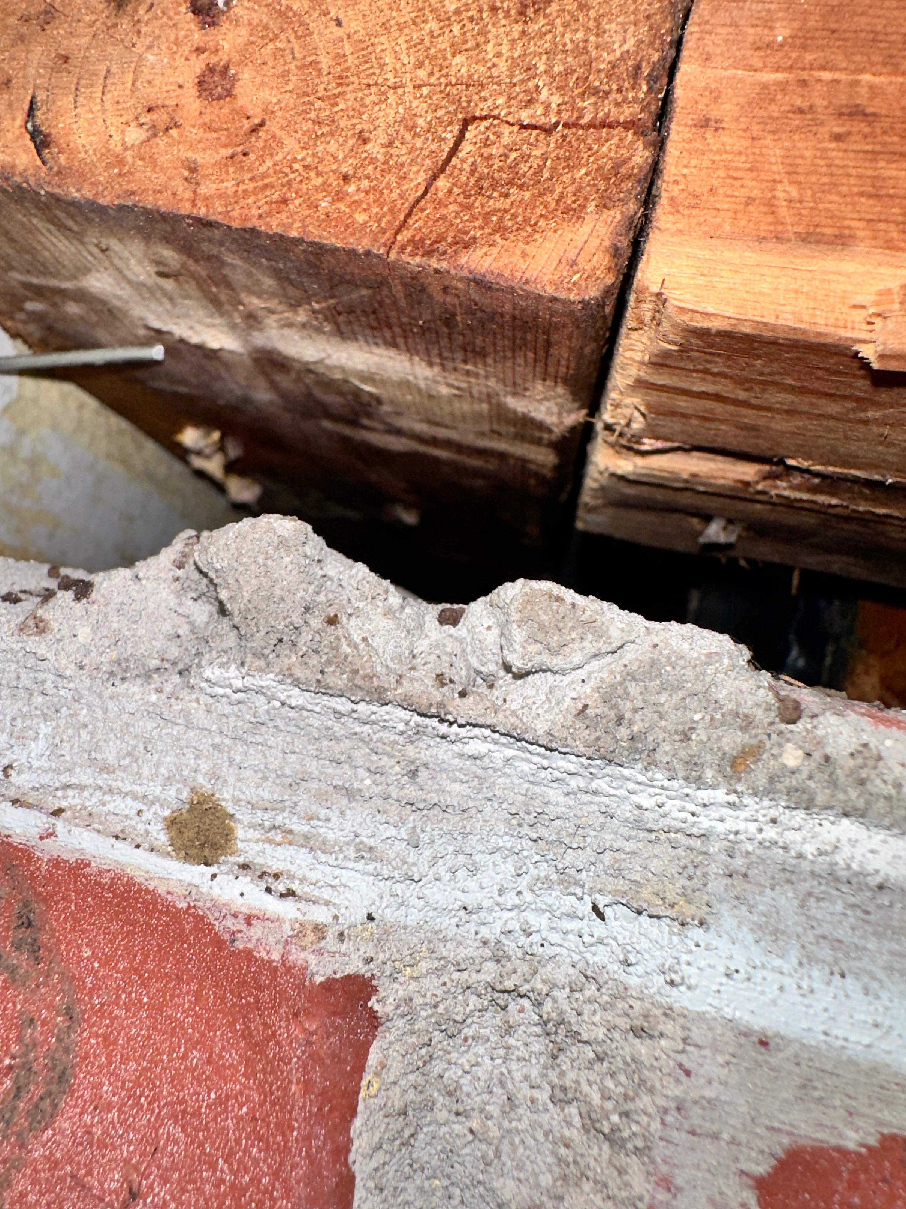 Elevated by Rockwall Honey Bee Company