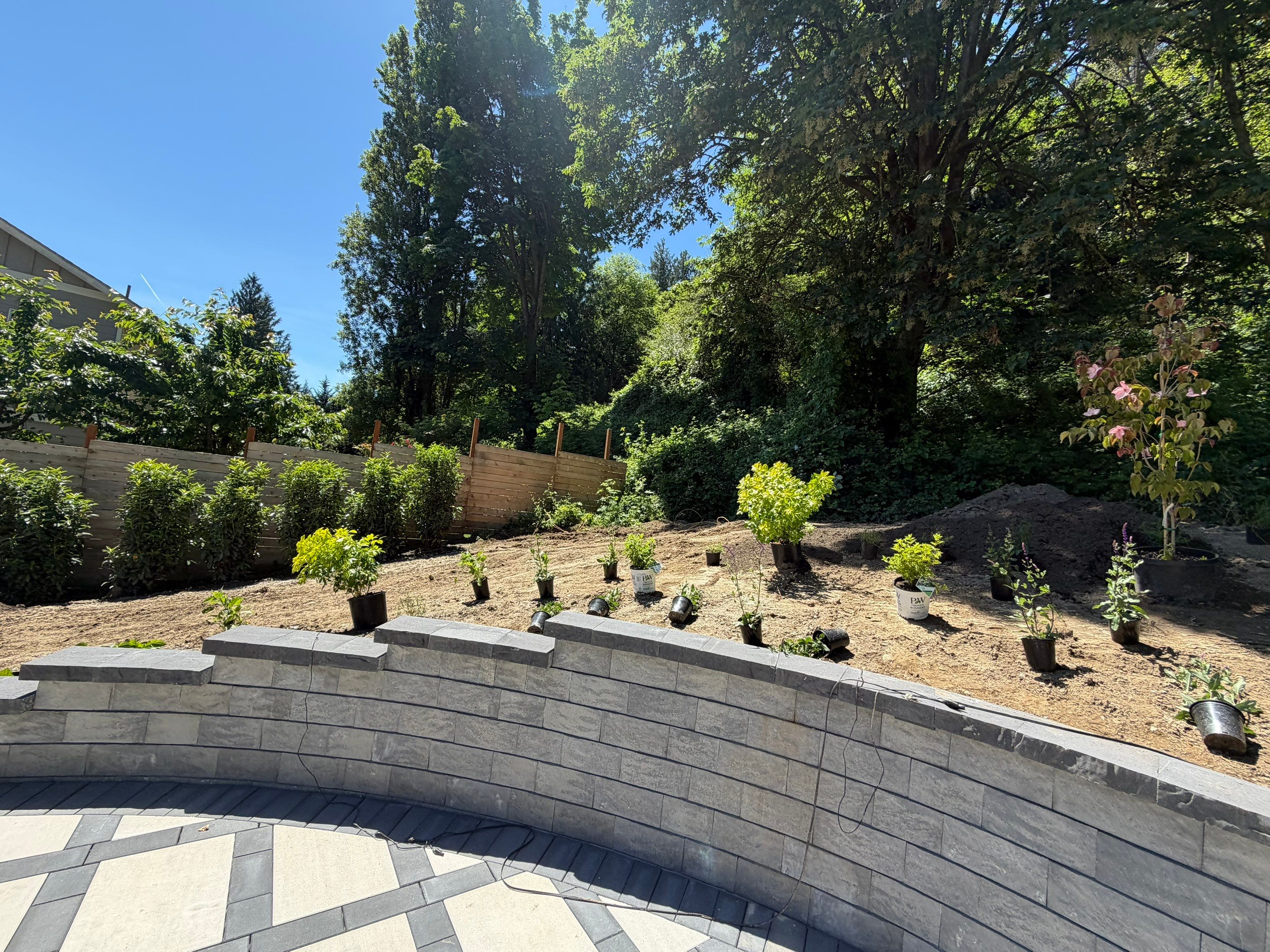 Maple Ave Renovation by Pacific Pine Landscape