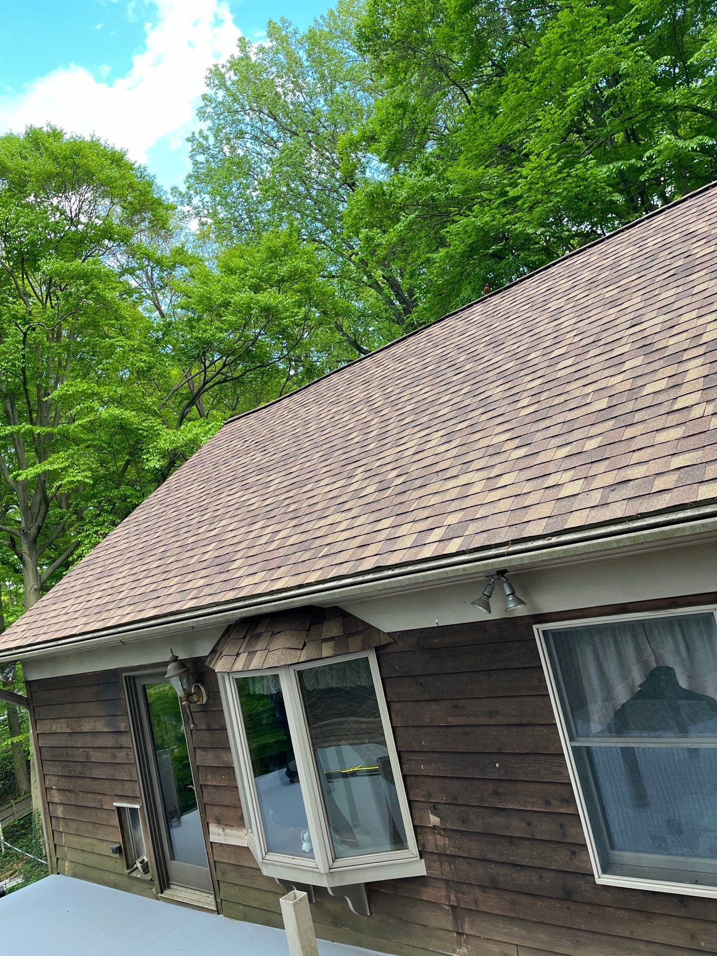 Annandale: Multi-Trade Tree Damage Restoration by RM Banning, Inc.