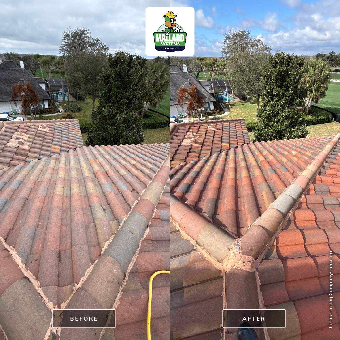 Travertine Pool Deck & Barrel Tile Roof Cleaning  by Mallard Systems