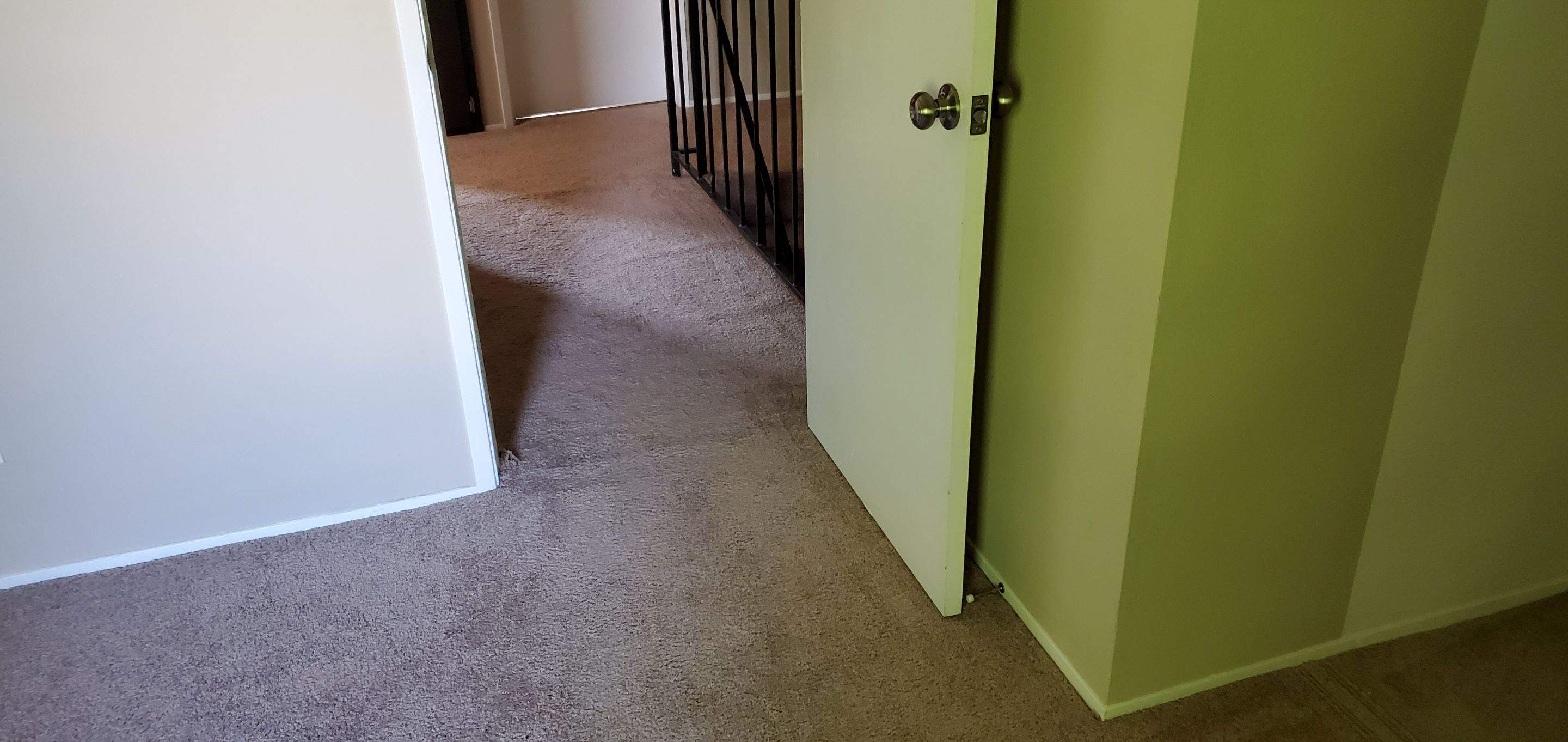 Re-stretching Townhouse Carpeting by Ardent Carpet Restore LLC