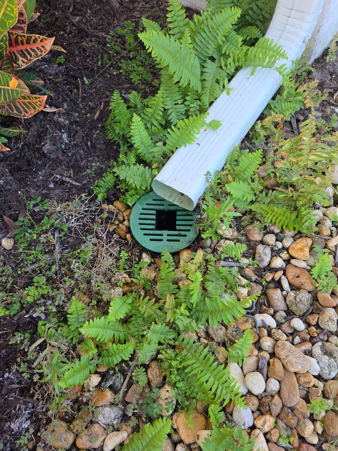 🌴 Landscape Removal and Install in Palm City by Alpha Zeta Enterprises Inc