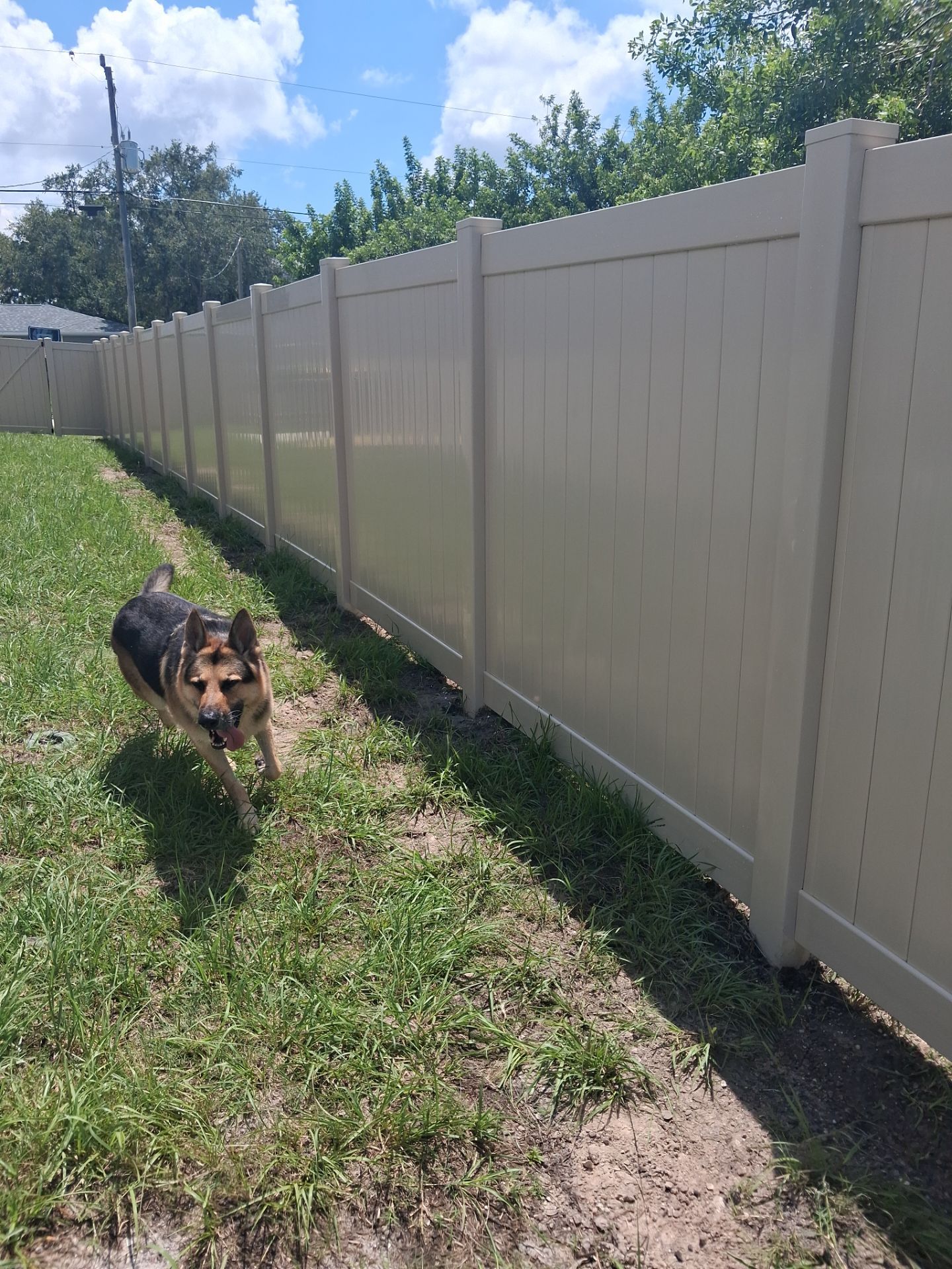 Vinyl Privacy Fencing and Aluminum Pool Security Installation in Port Charlotte by True Fence LLC
