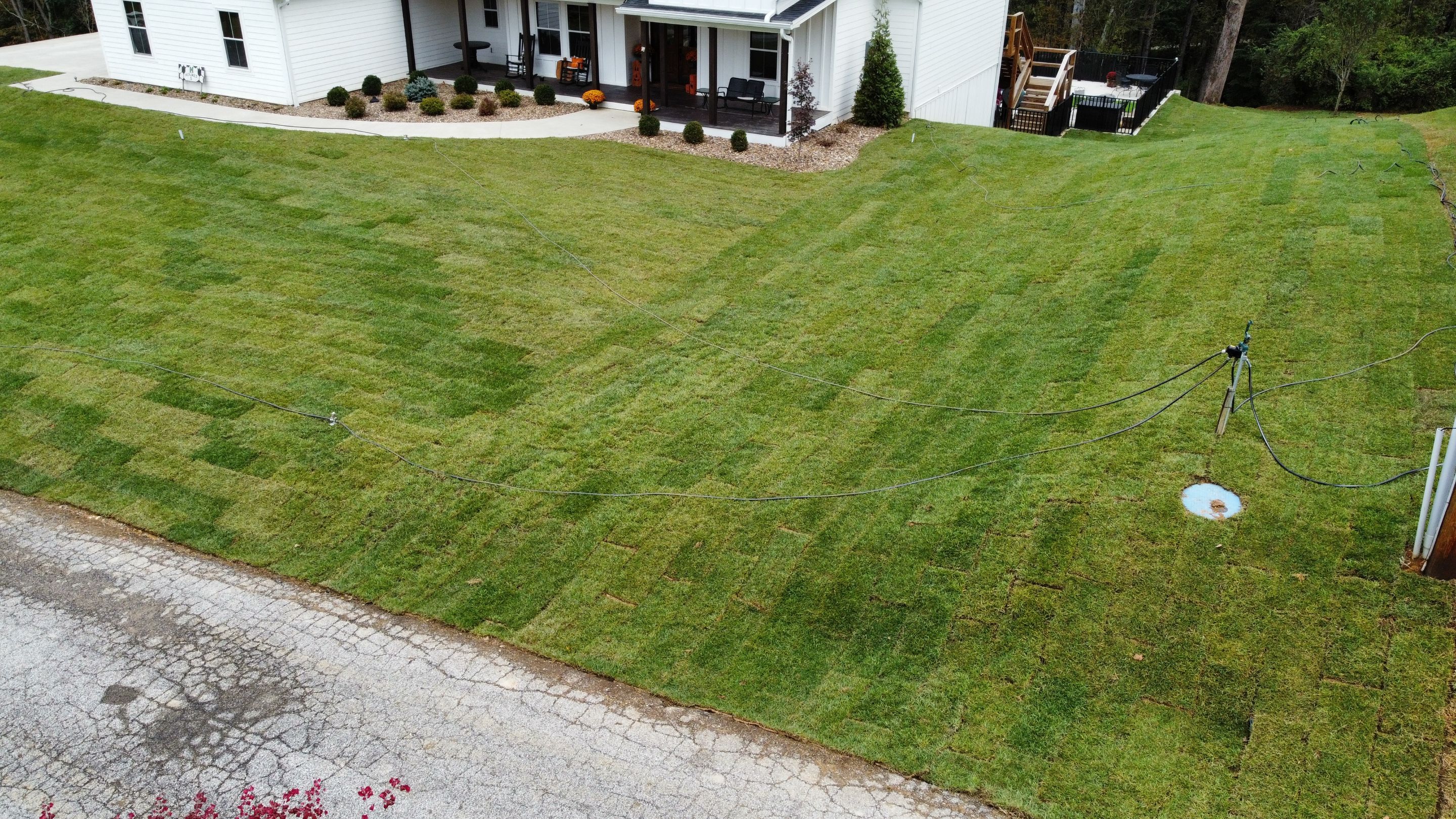 Sod Installation using Fescue Sod by GrassBusters, Inc.
