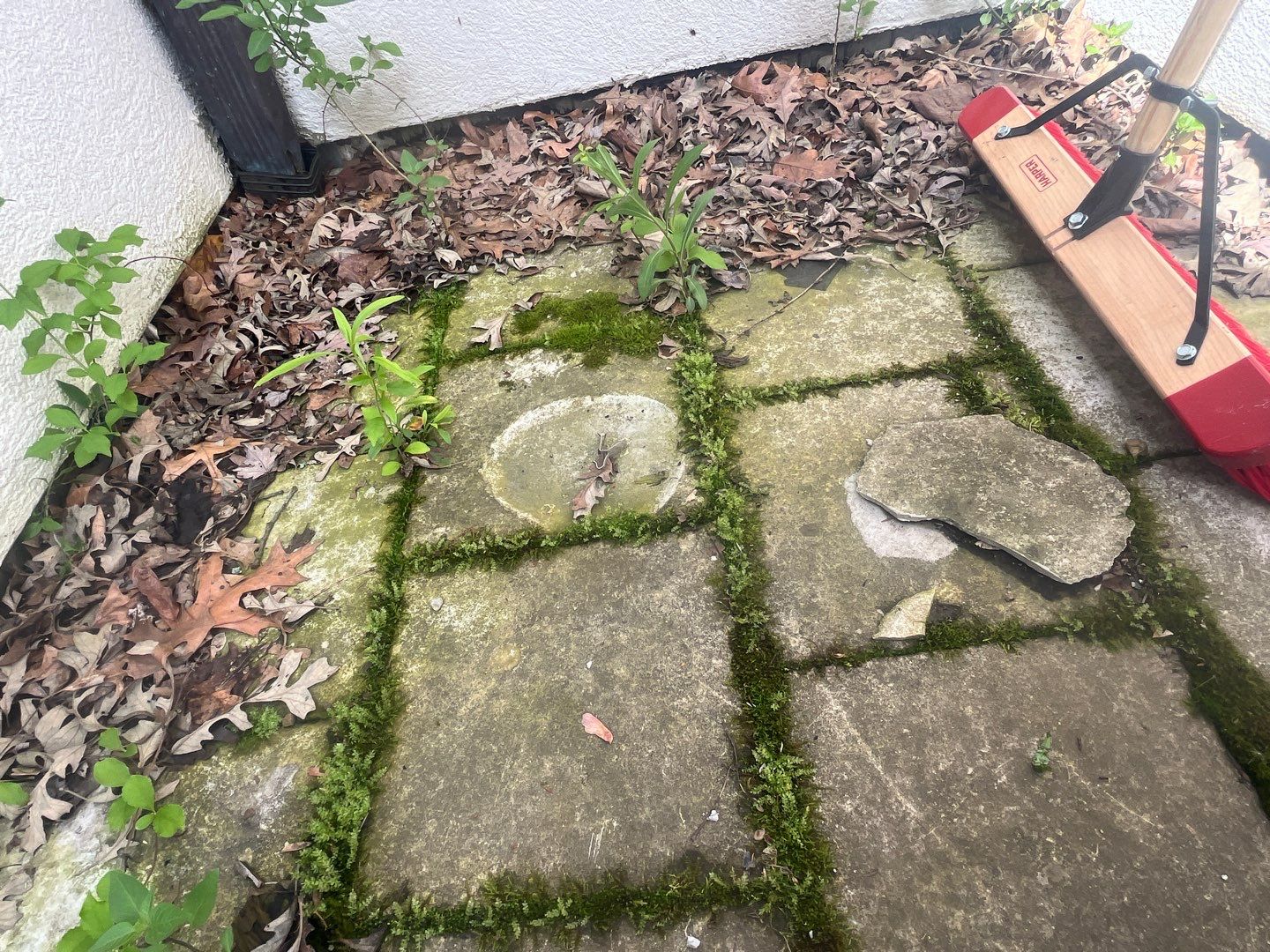 natural stone using Algaecide, soft wash soap by Northern Power Washing LLC.