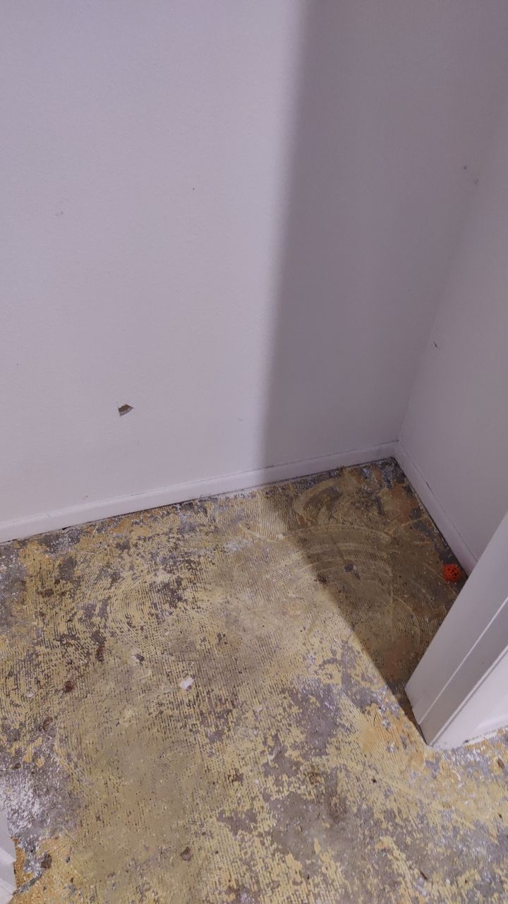 Water Damage by Accountable Home Services