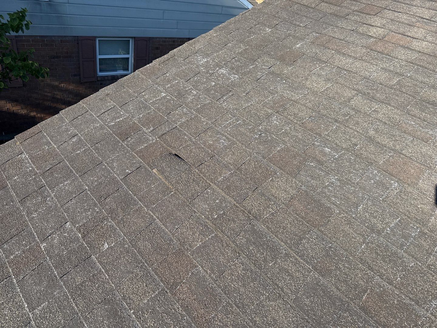 Campbell Storm Damage Report by Constructive Project Management