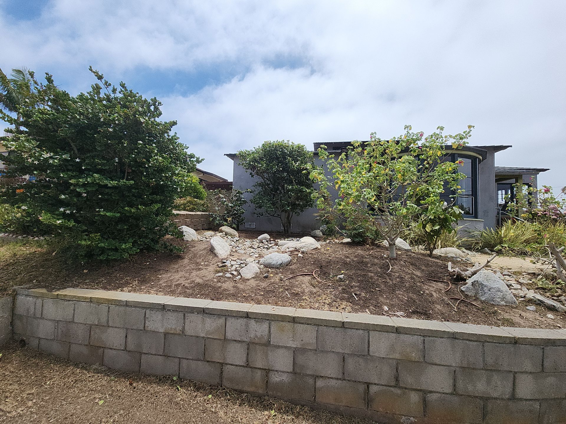 San Diego Landscape Clean Up by Yard Techs