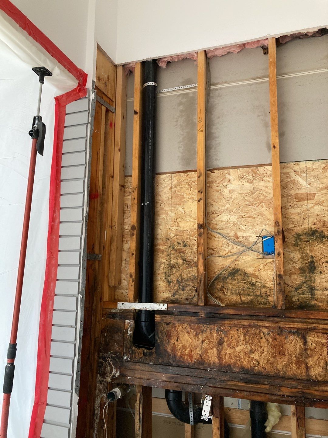 Mold Remediation using Containment by Accountable Home Services