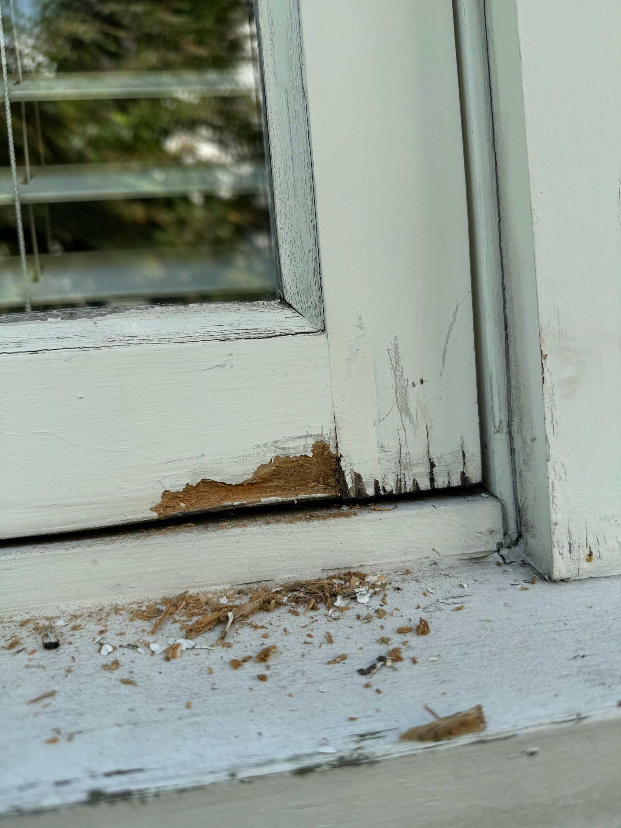 Fascia & Trim Painting - 25th st-  West Vancouver by YVR Construction Group