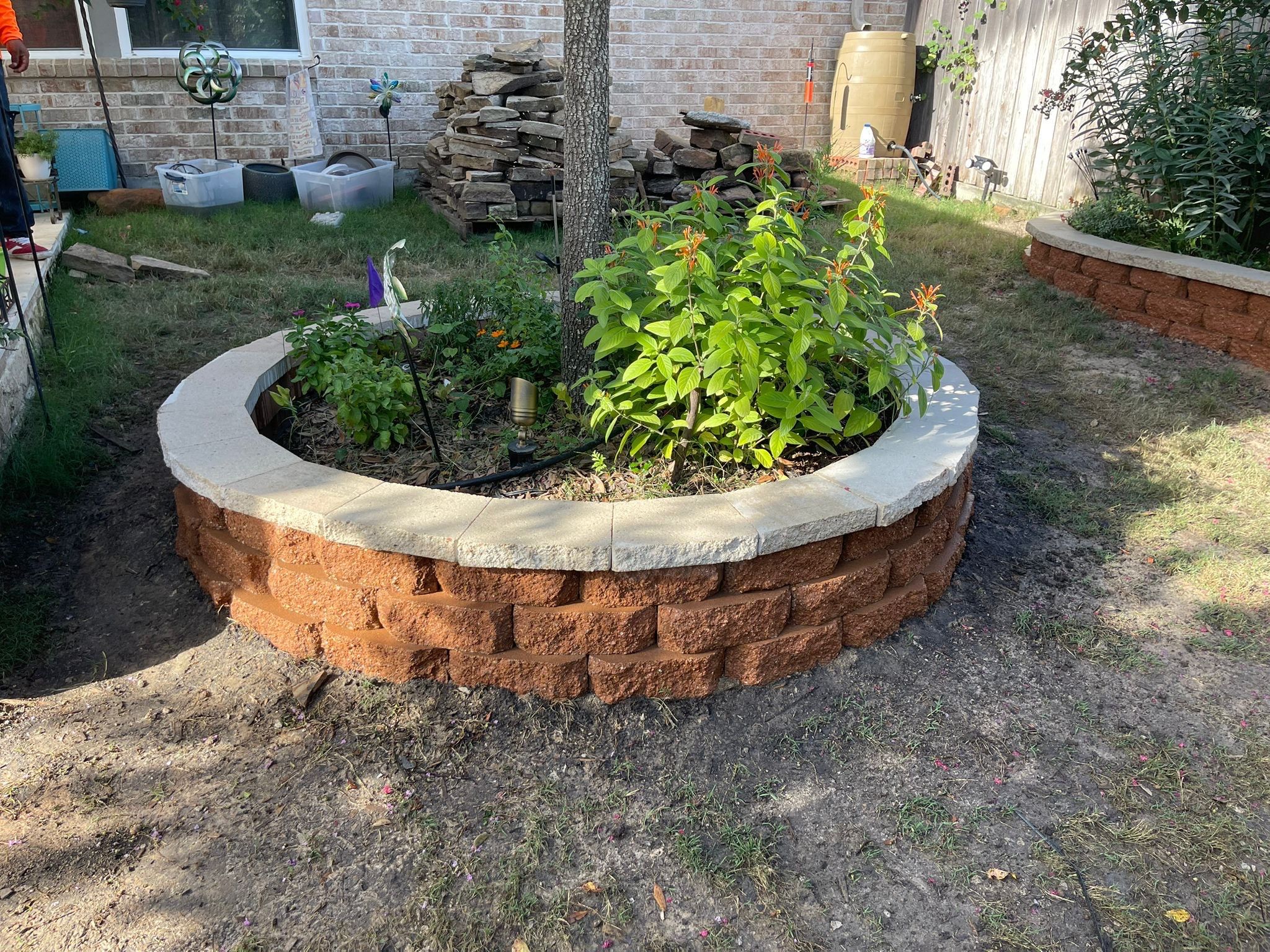 🌿 Pamela’s Backyard Makeover by Texas Urban Elements