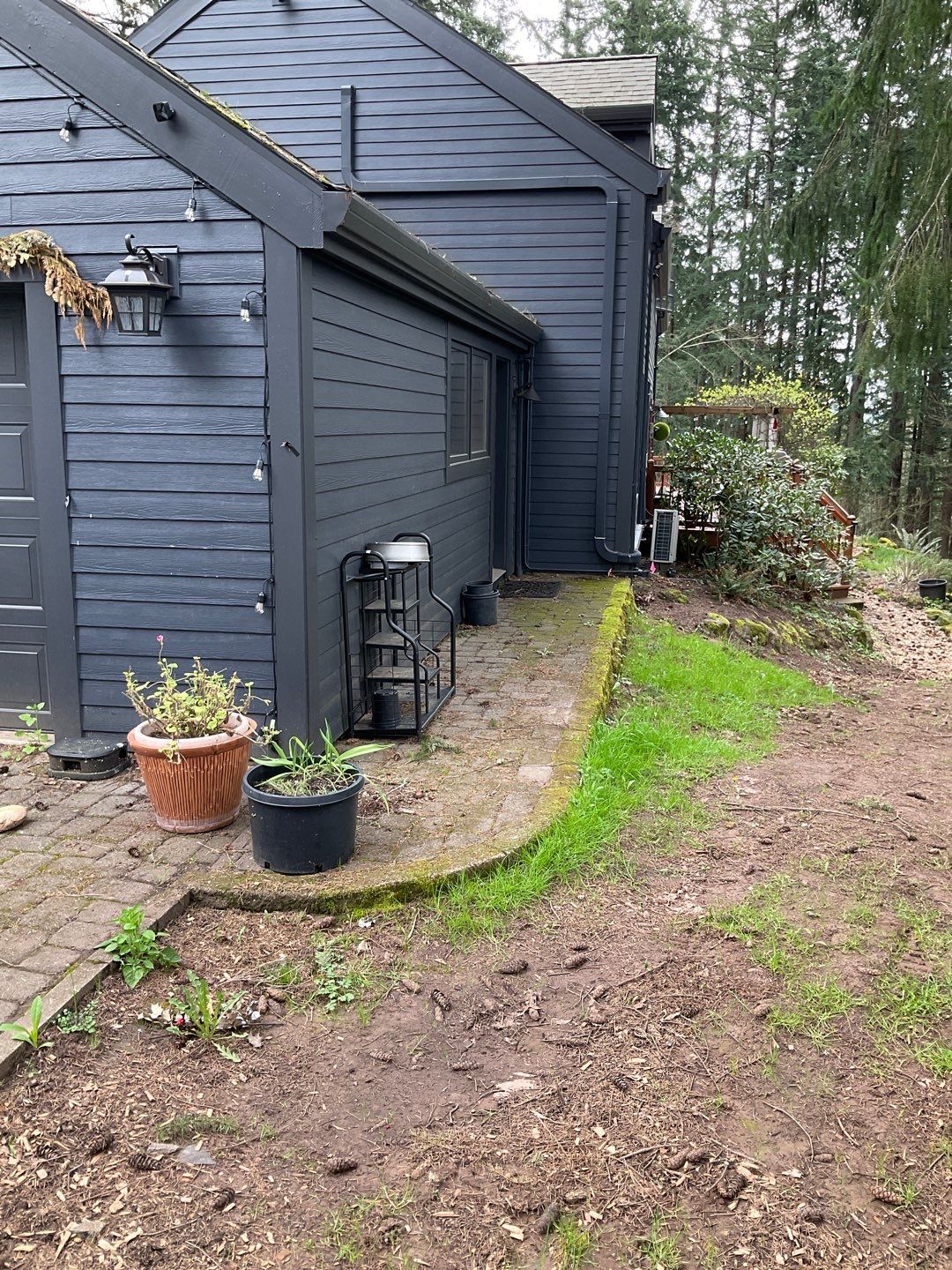 Roof Treatment using Surfactant and Biocide by Willamette Outdoor Wash LLC
