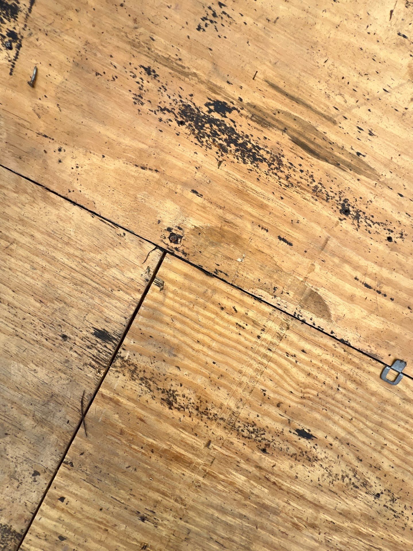 Roof Repair Spring by Roof Repair Company