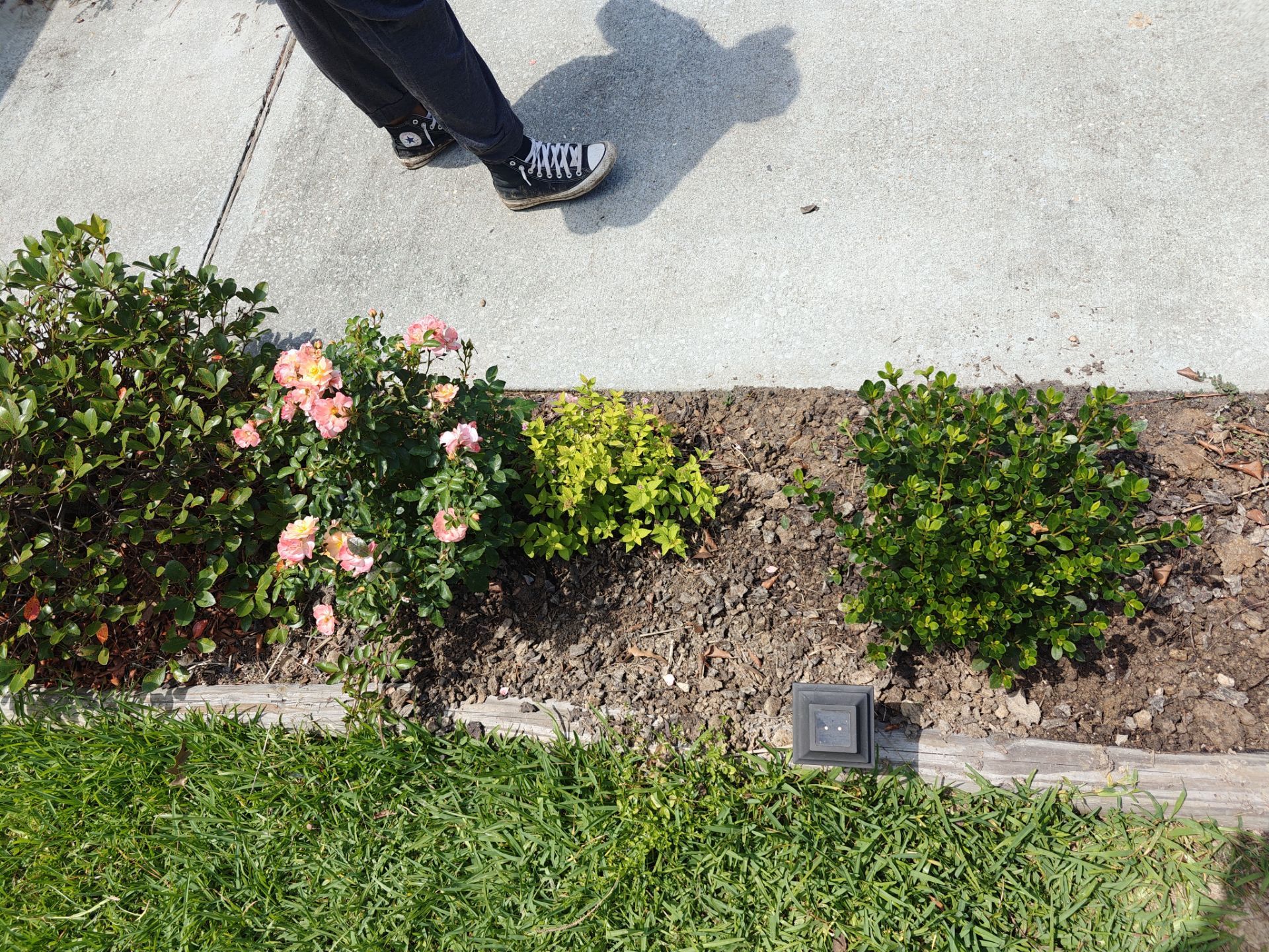Weekly Landscaping  by College Bros Outdoor services